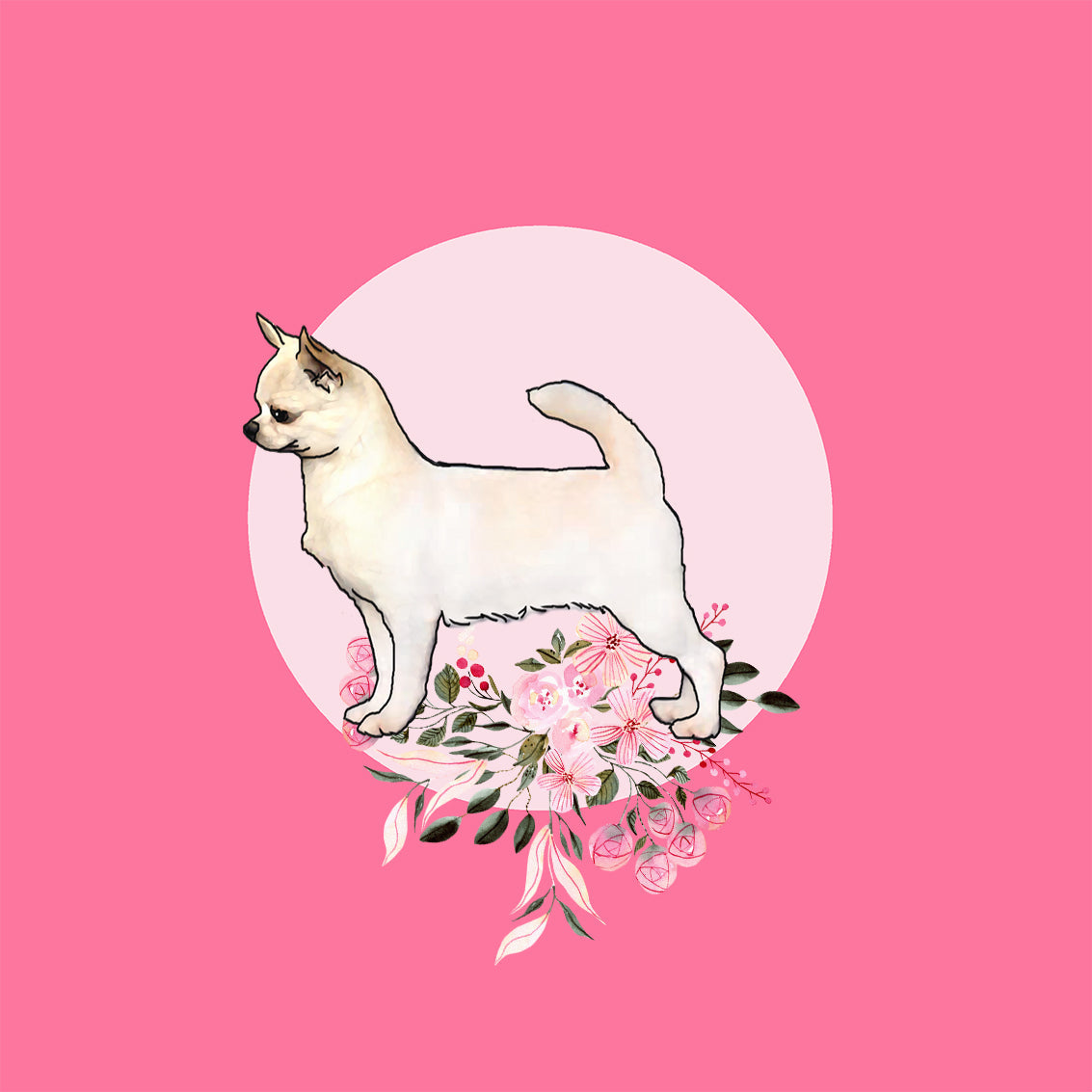 Chihuahua (Smooth Coat)