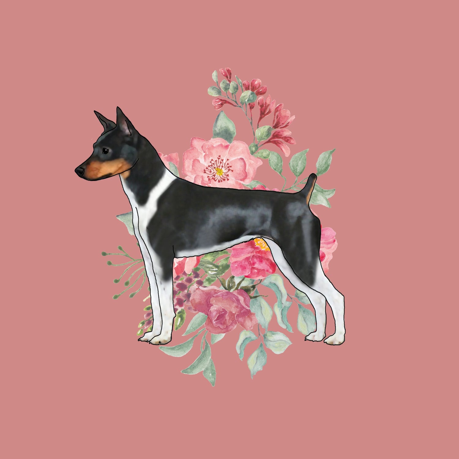 Rat Terrier