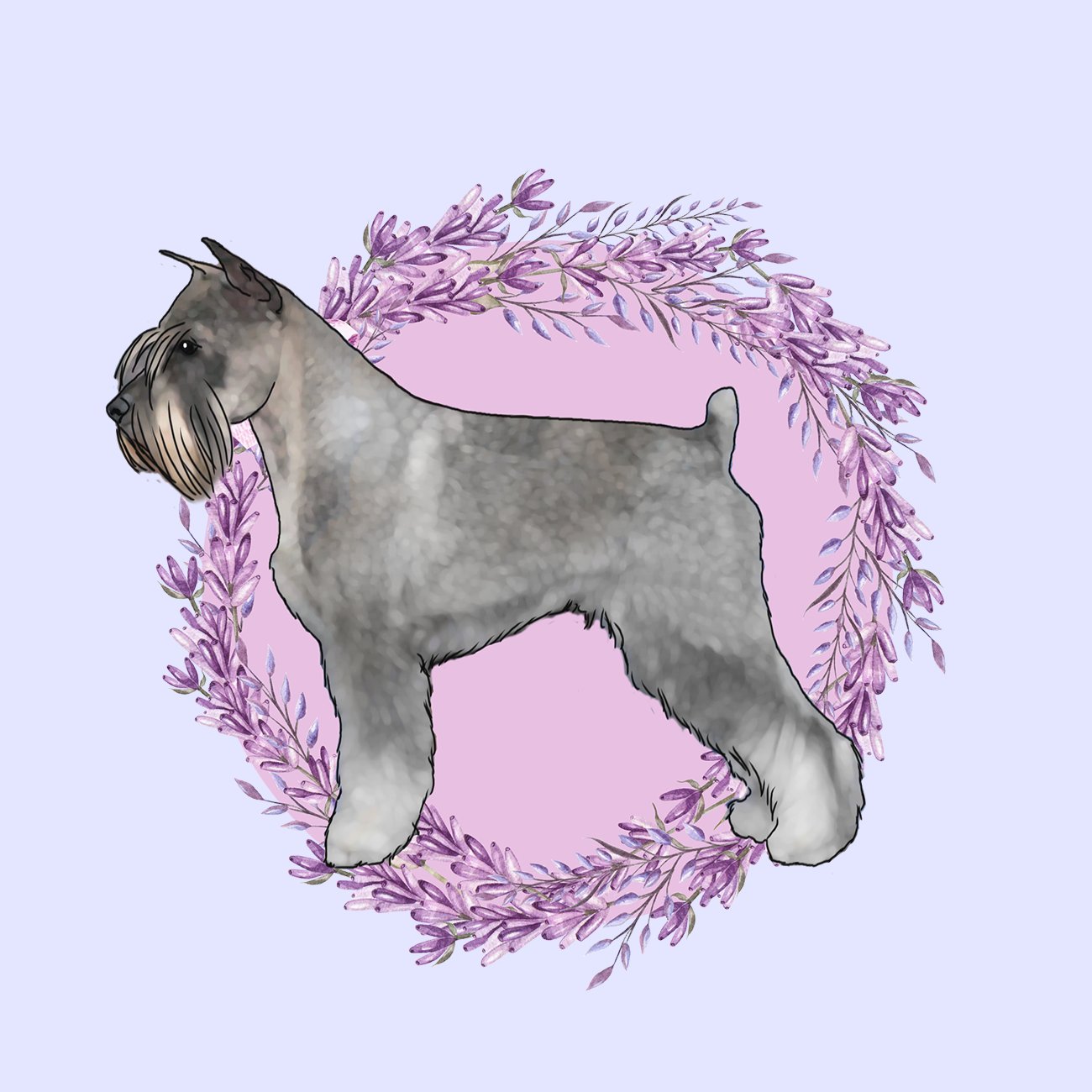 Standard Schnauzer