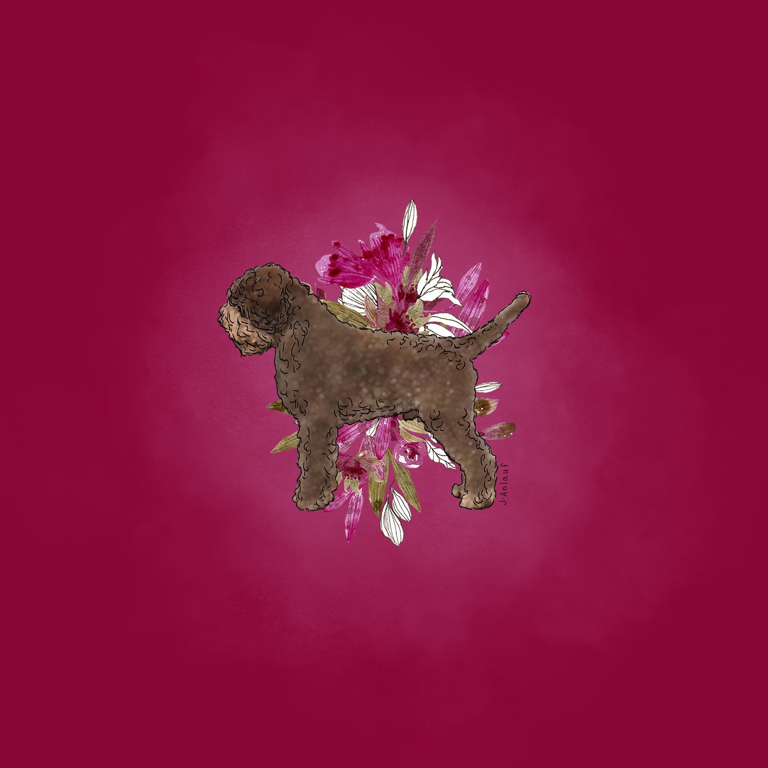Lagotto Romagnolo