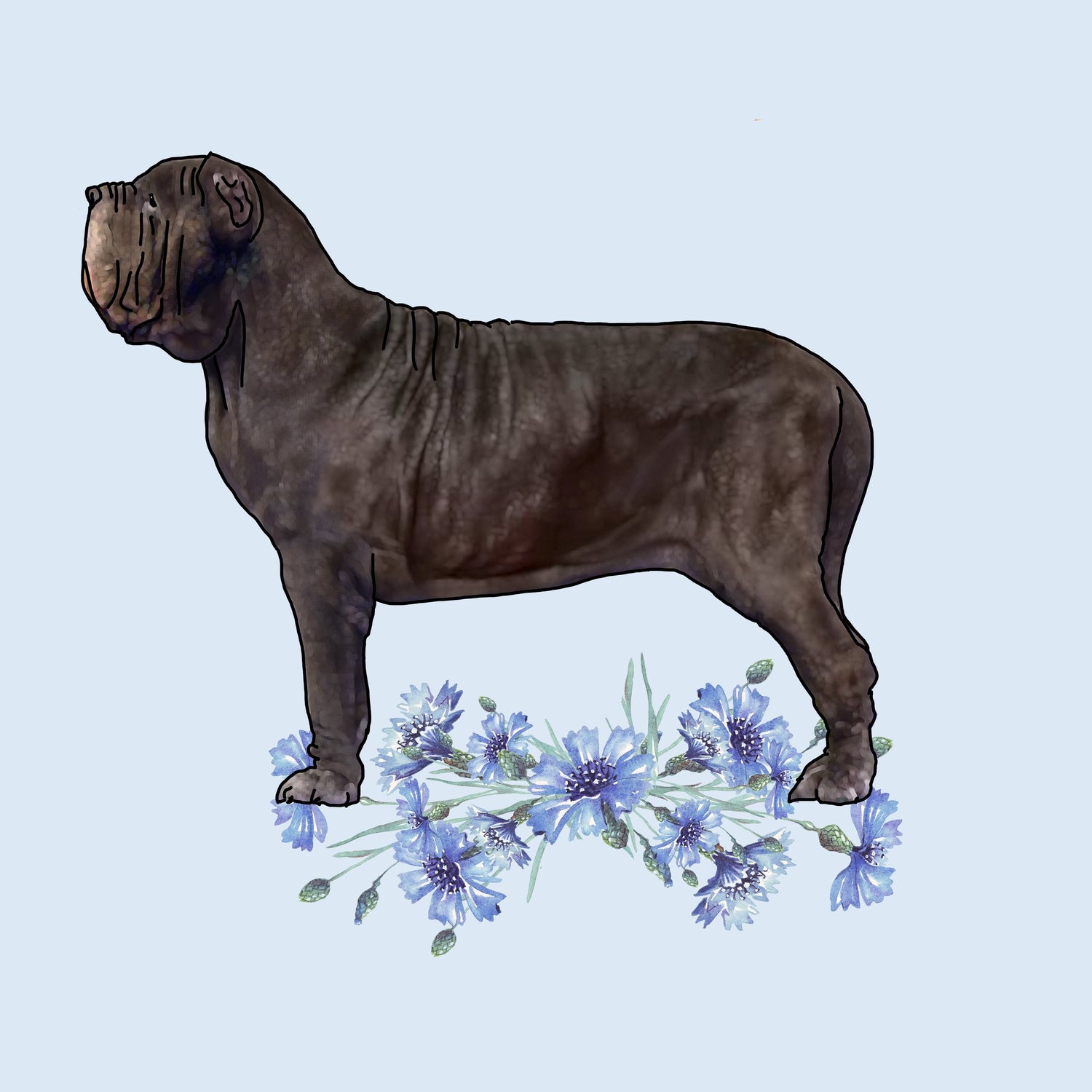 Neapolitan Mastiff