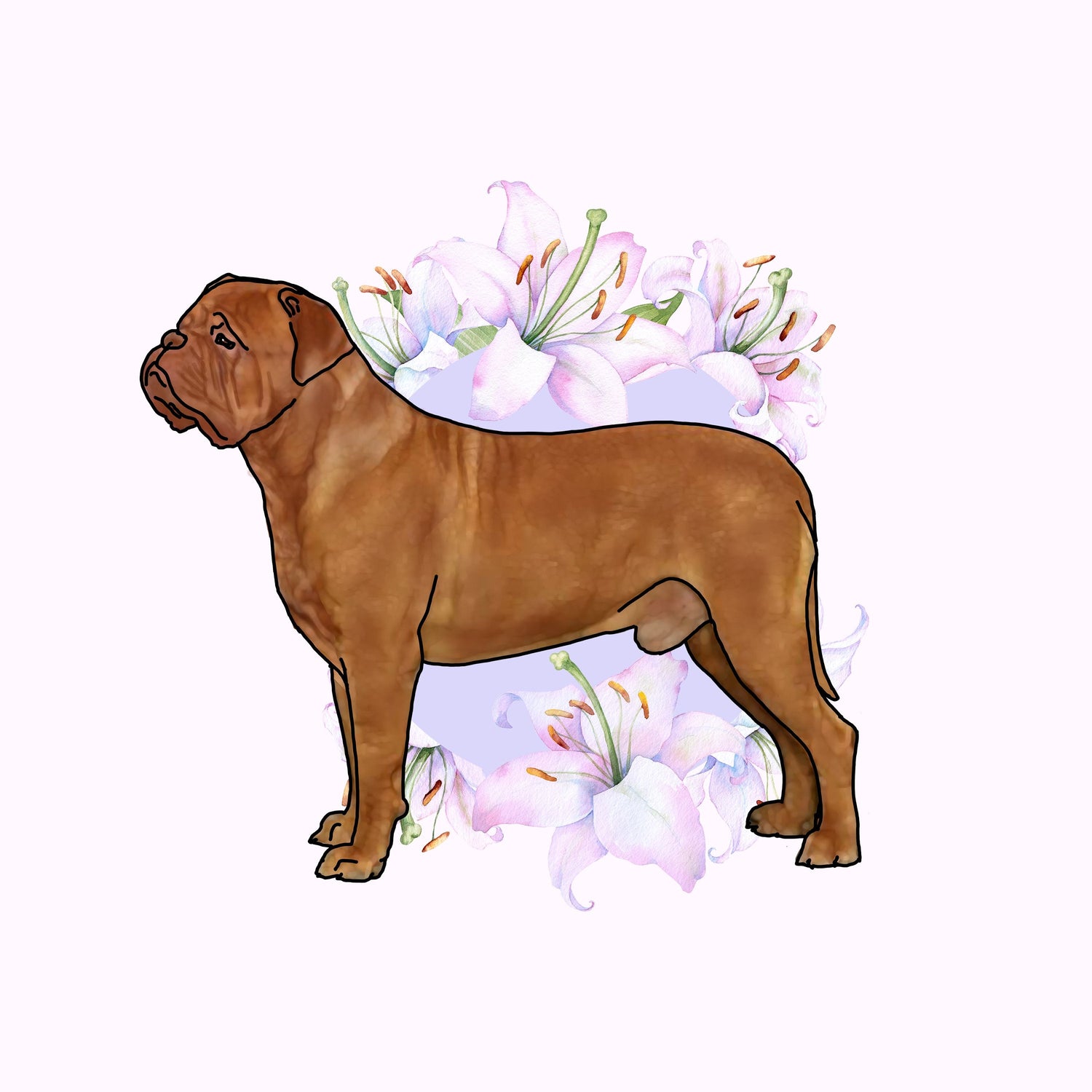 Dogue de Bordeaux