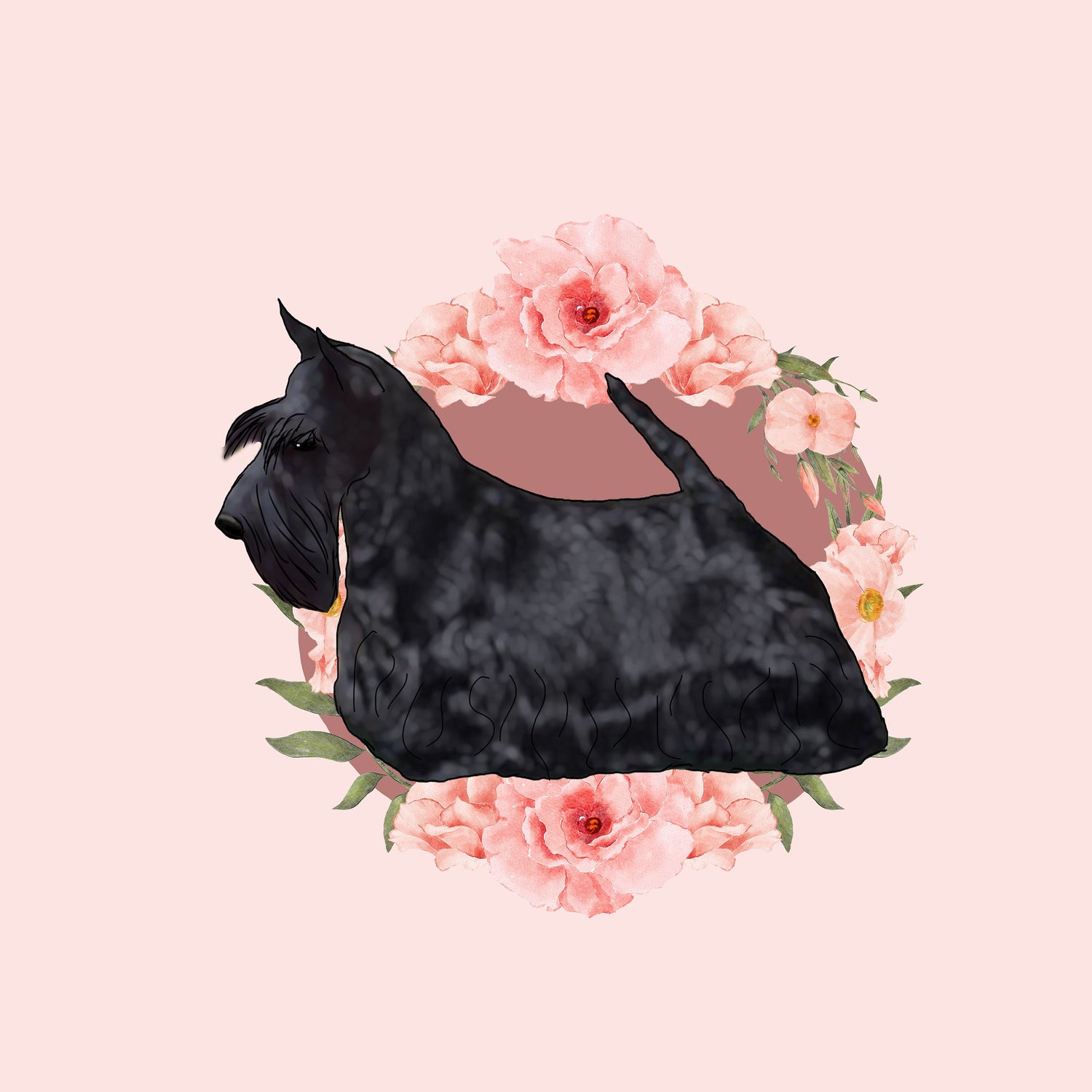 Scottish Terrier