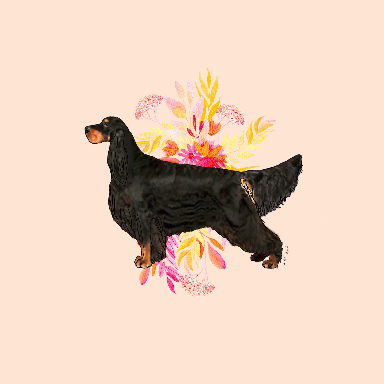 Gordon Setter