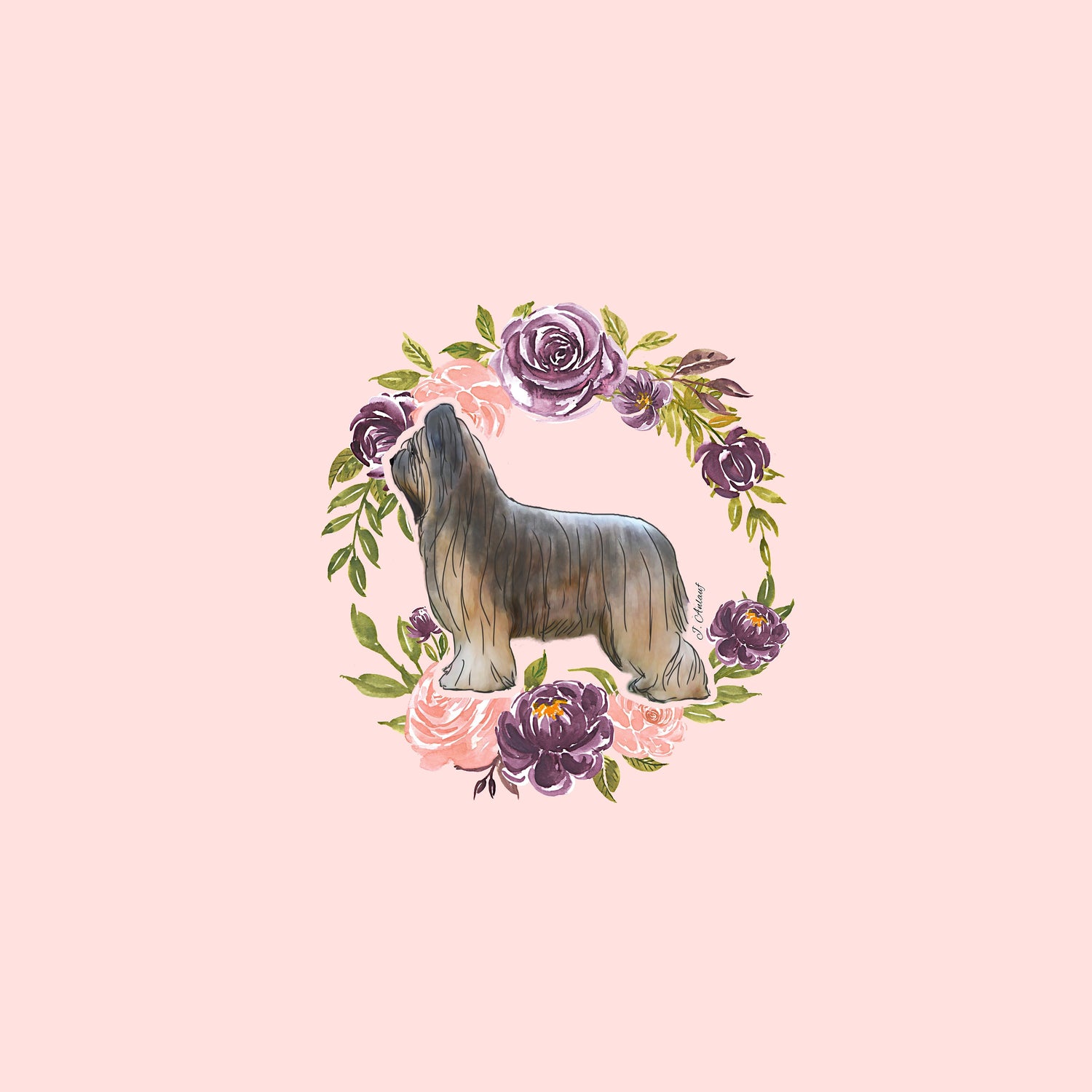 Briard