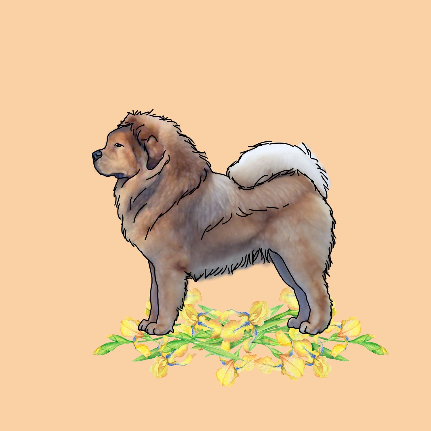 Tibetan Mastiff