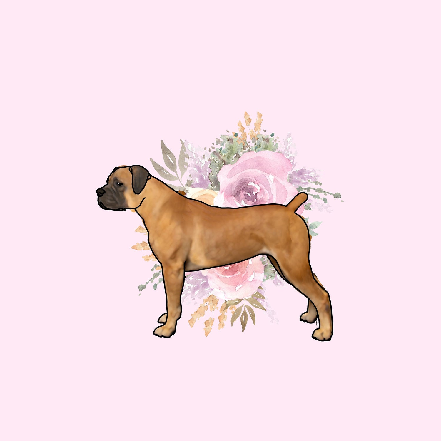 Boerboel