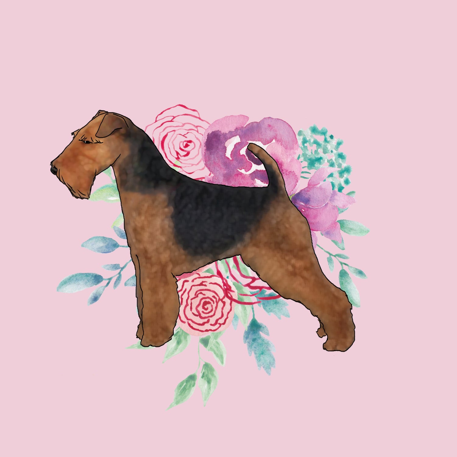 Welsh Terrier