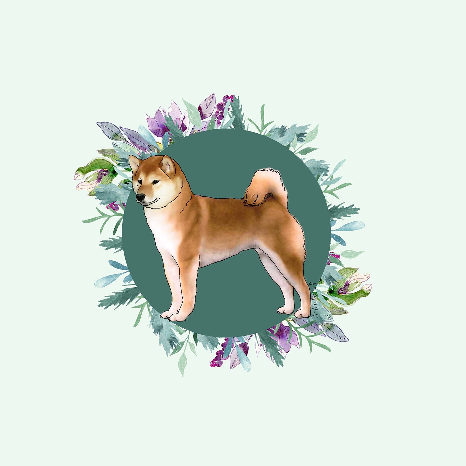 Shiba Inu