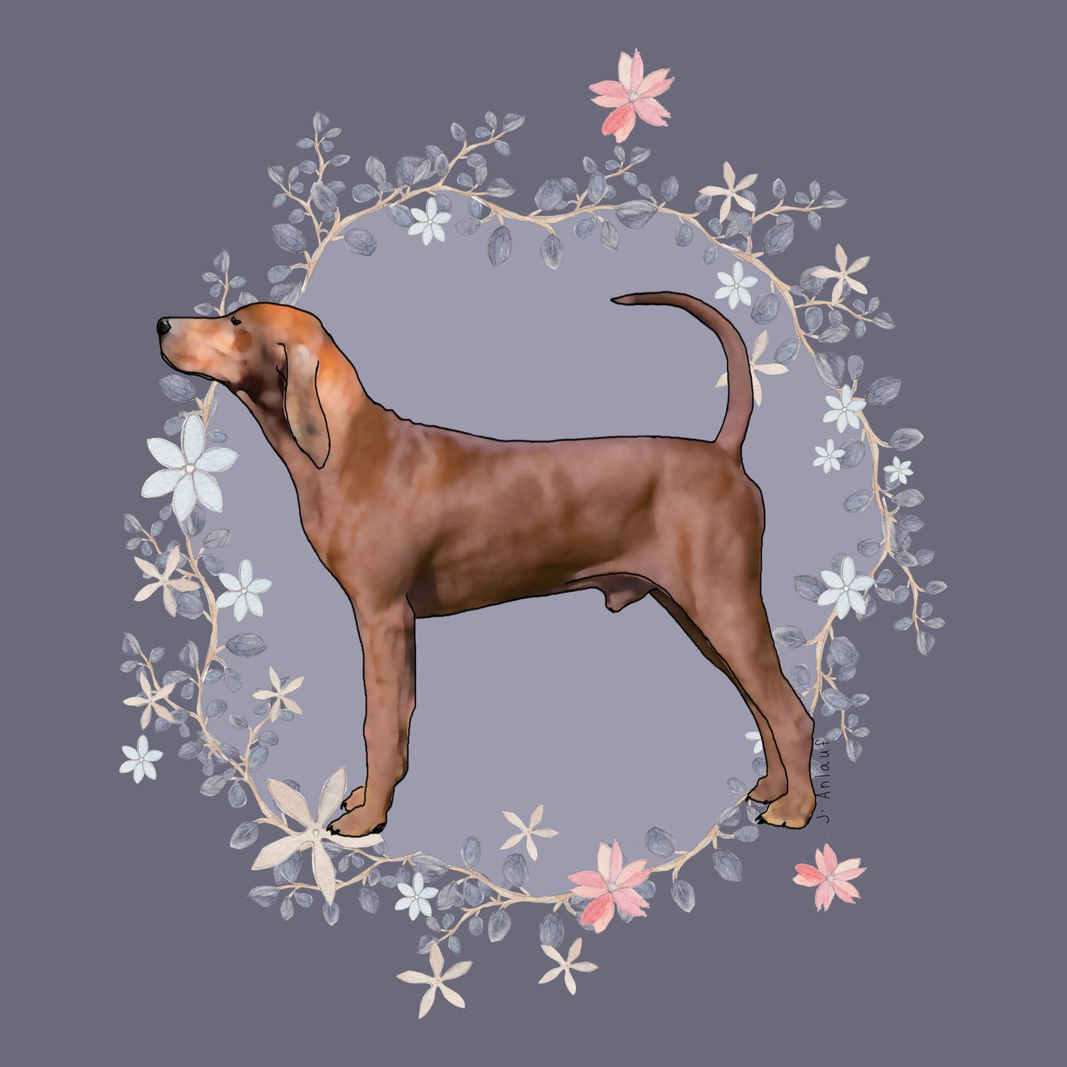 Redbone Coonhound