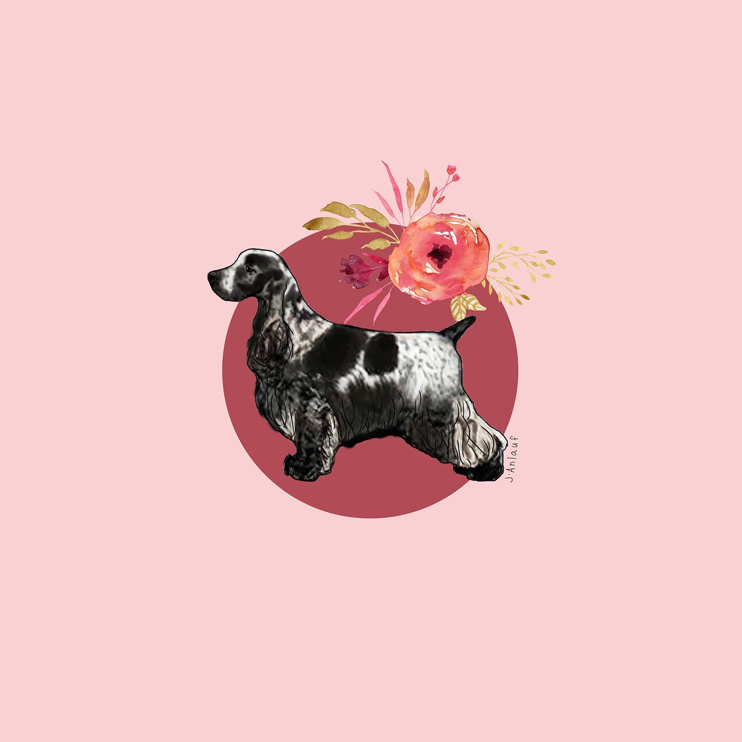 English Cocker Spaniel