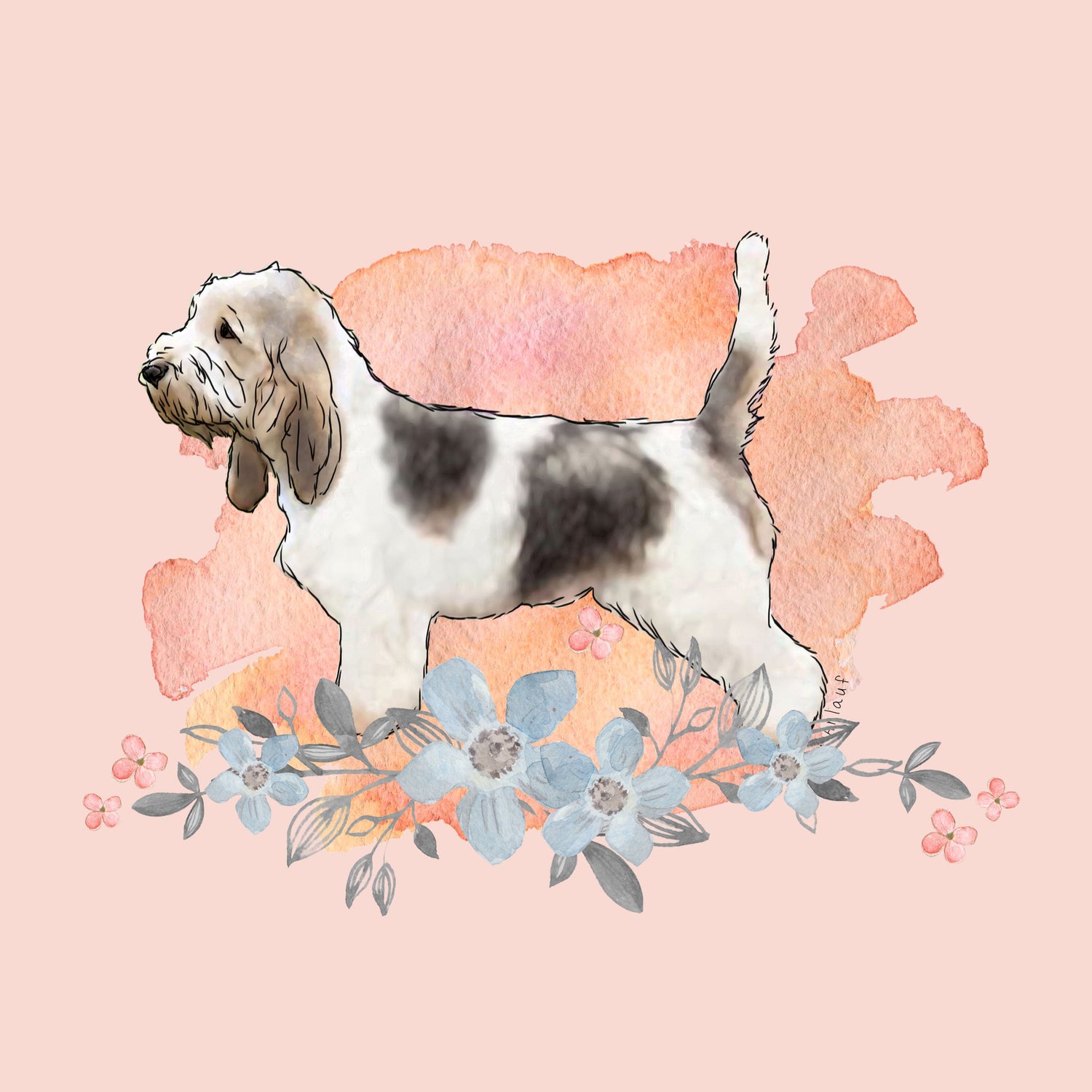 Grand Basset Griffon Vendeen