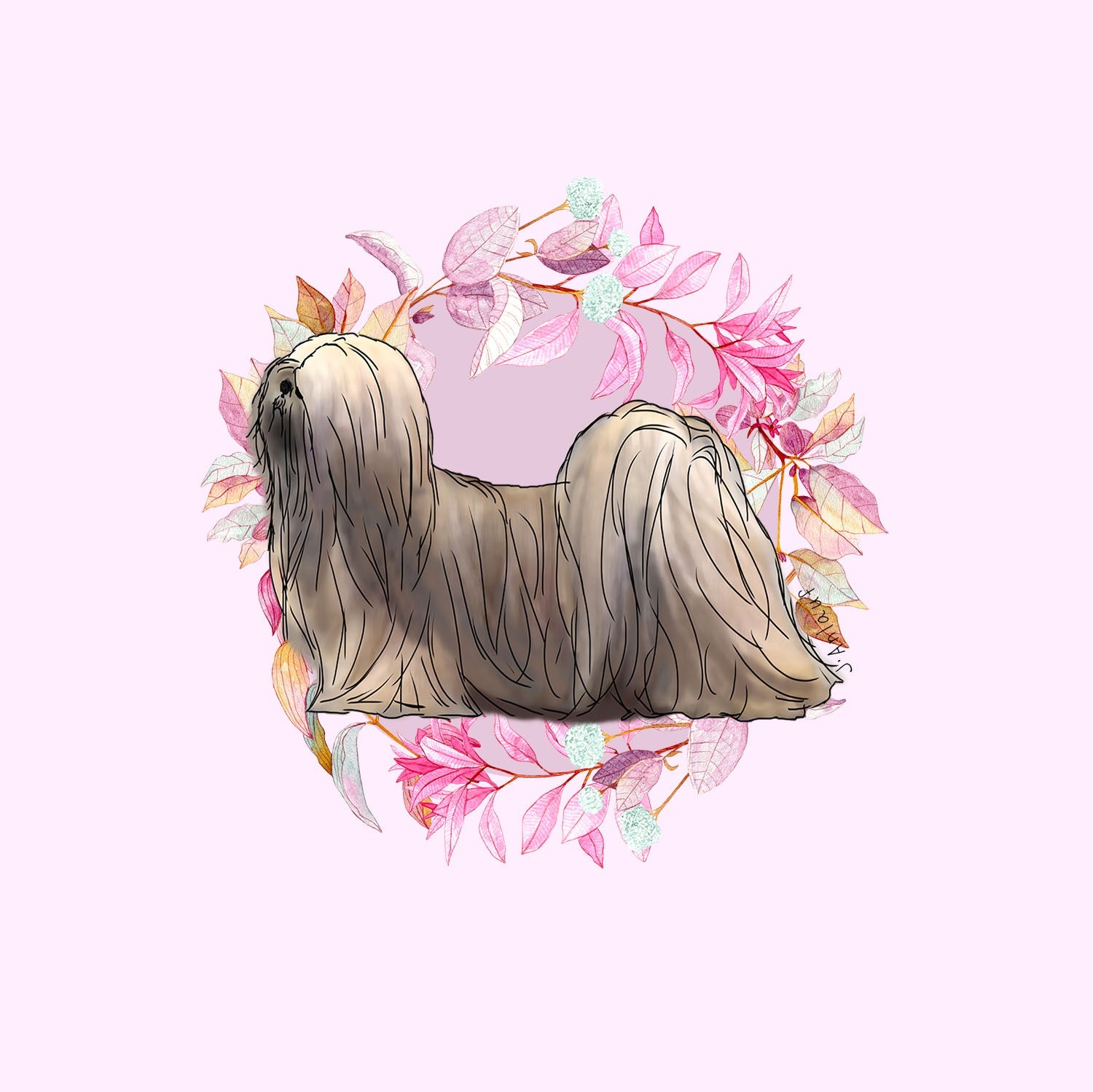 Lhasa Apso