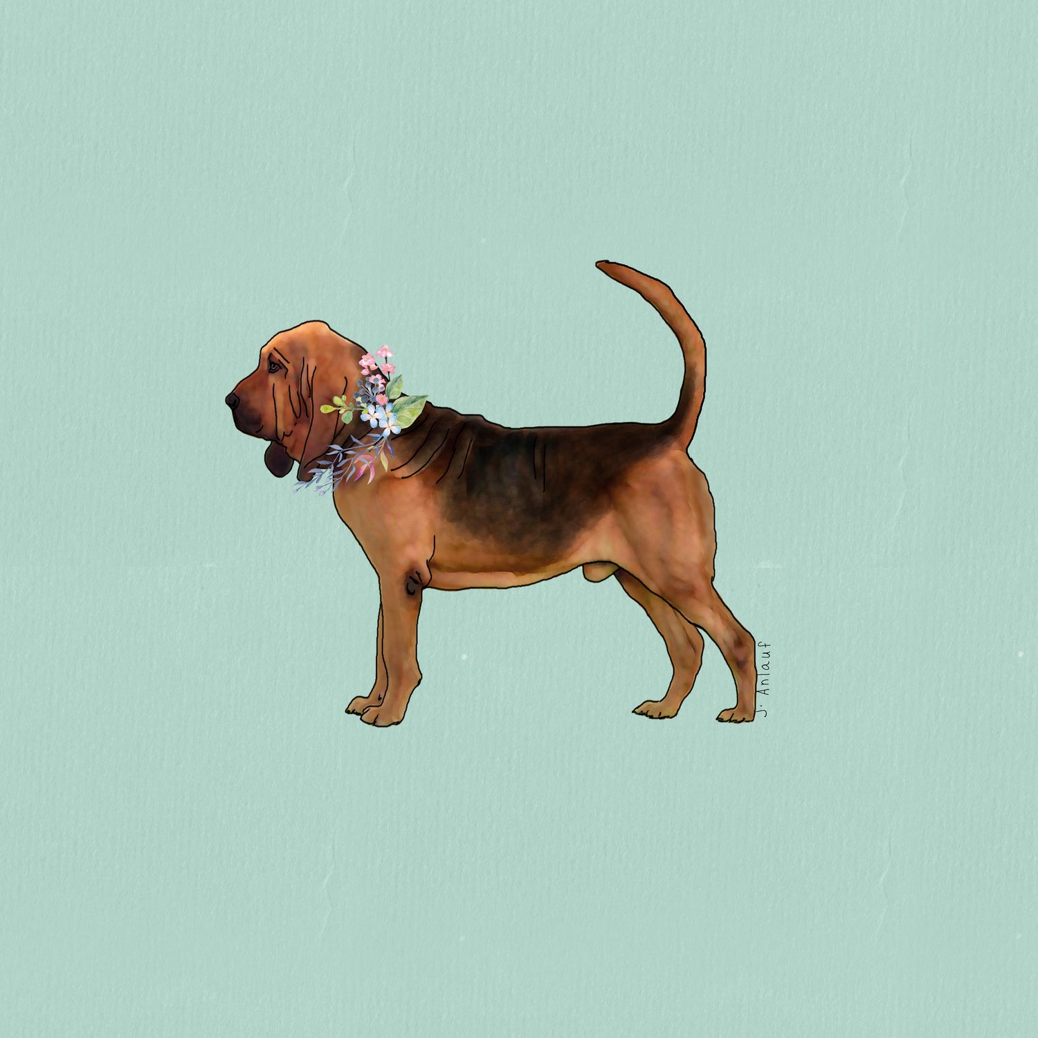 Bloodhound