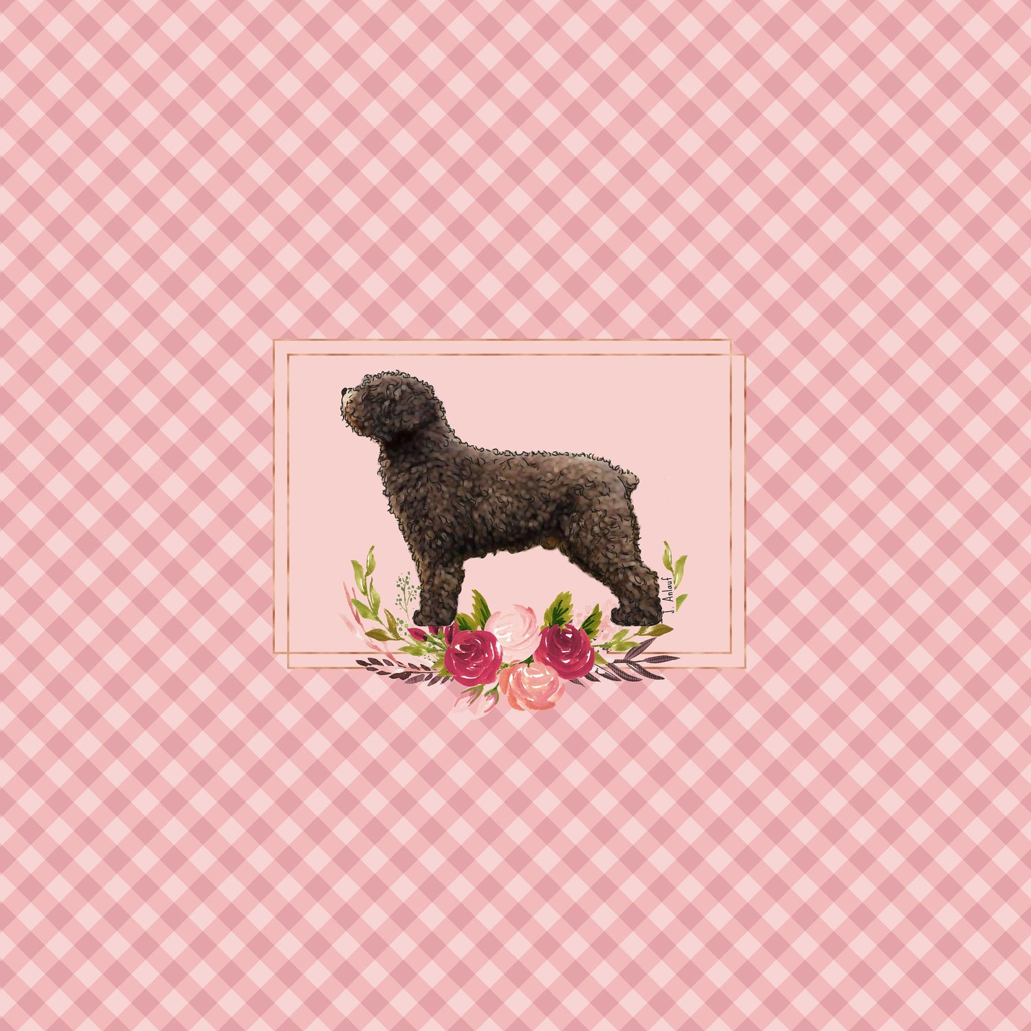 Spanish Water Dog