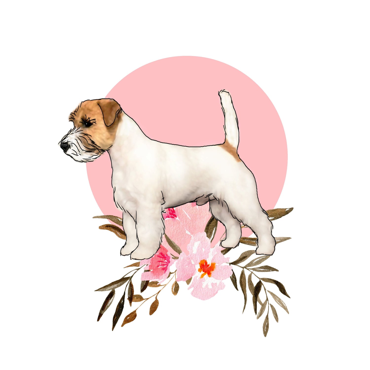 Russell Terrier