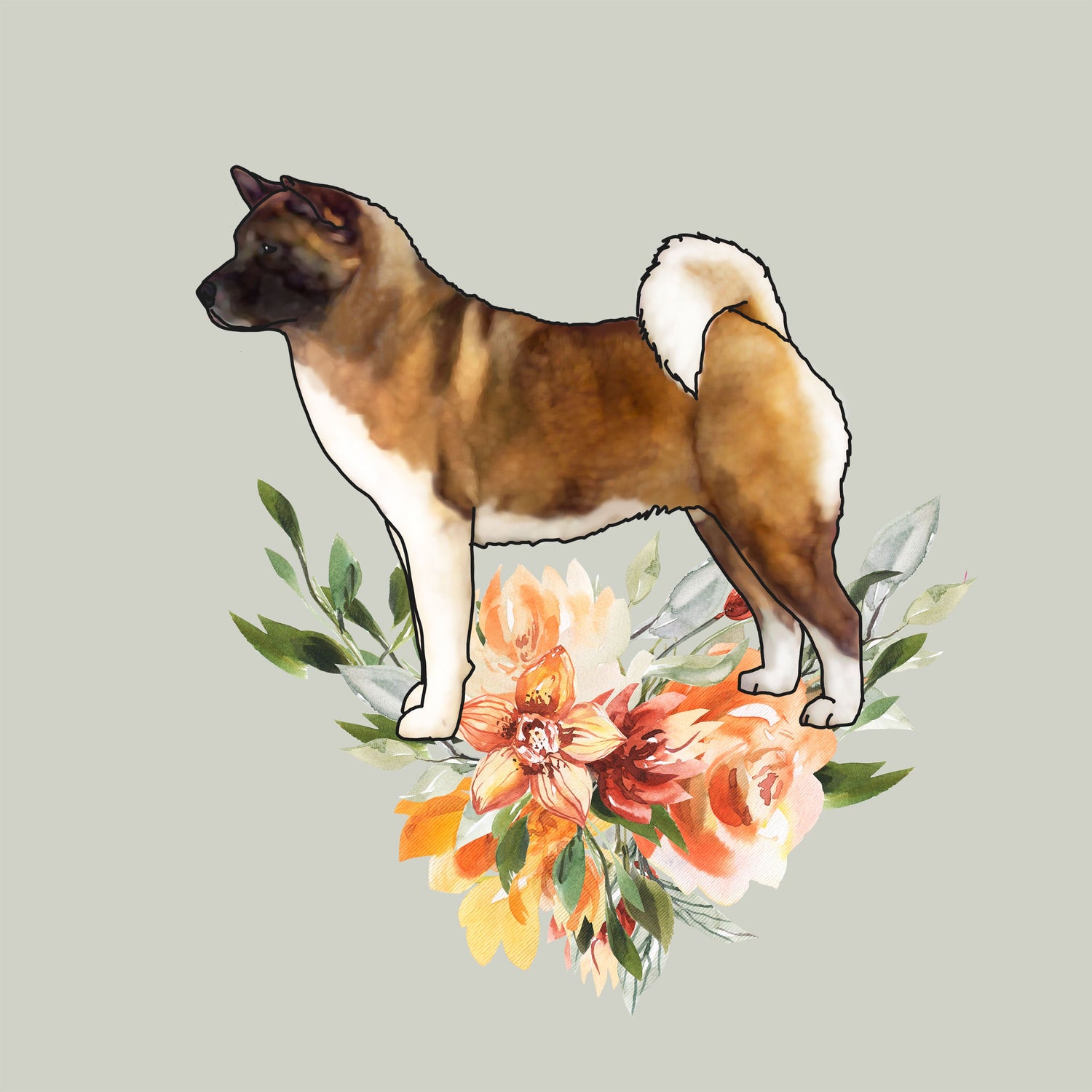 Akita