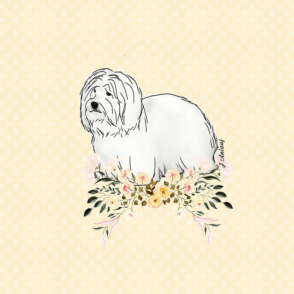 Coton de Tulear
