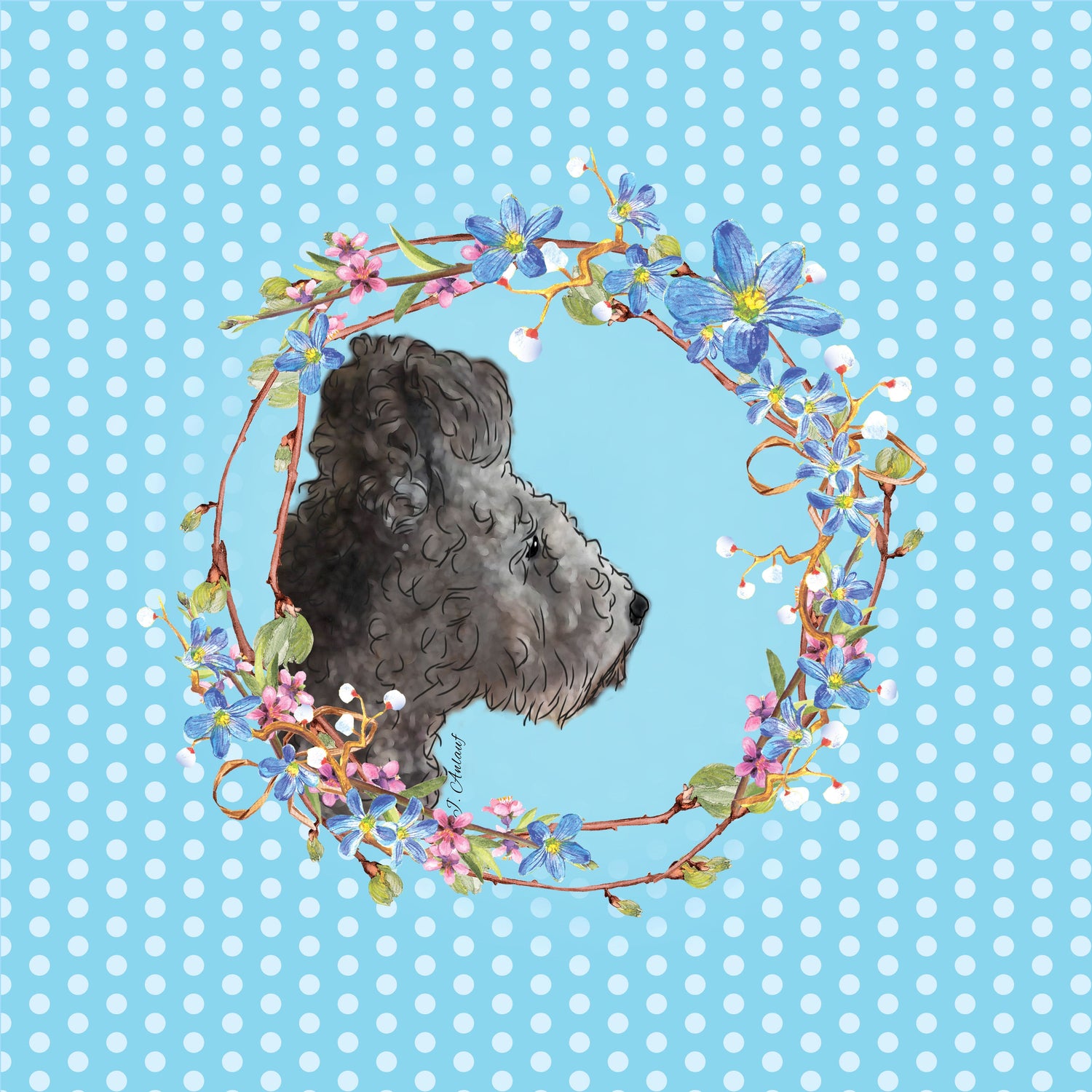 Pumi