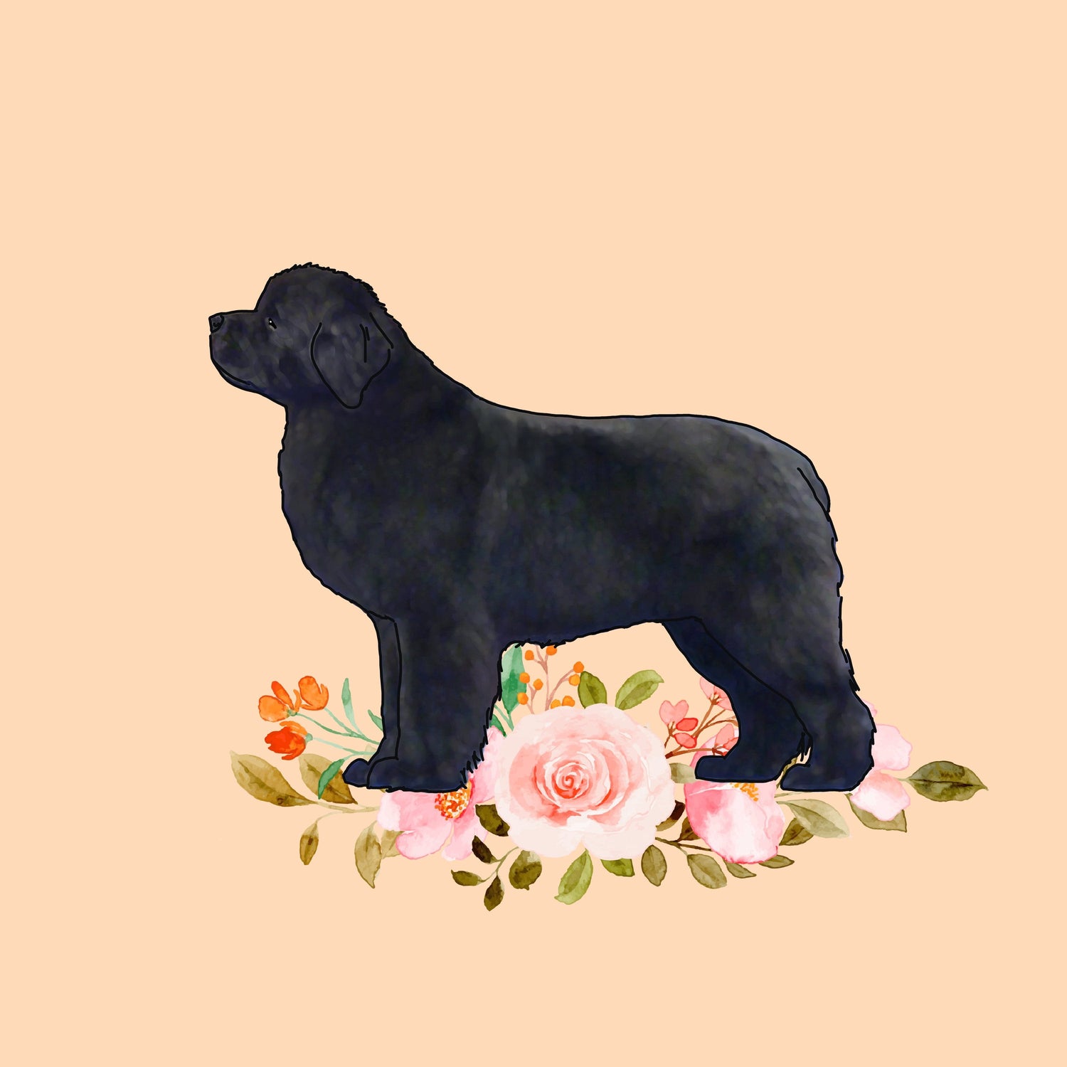 Newfoundland