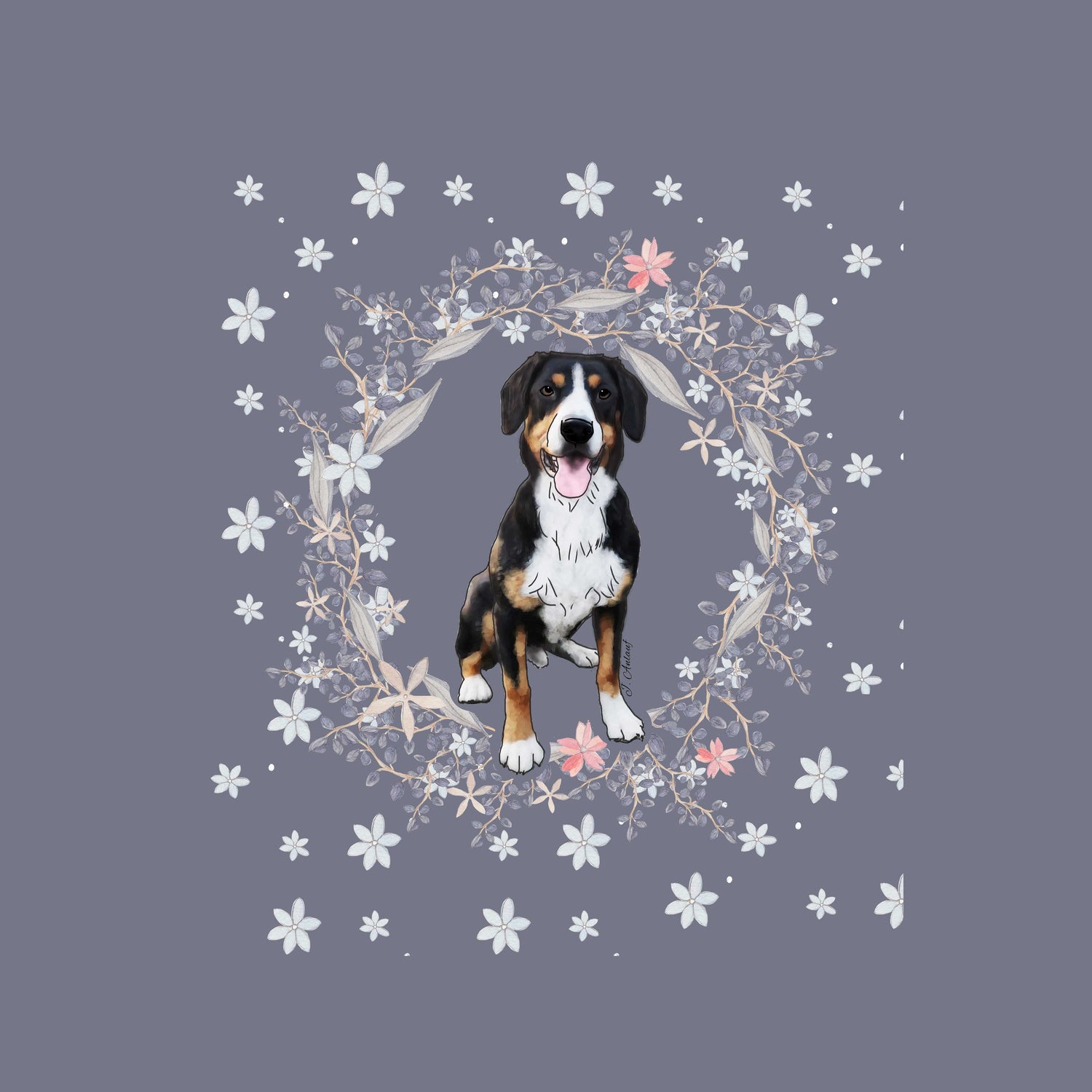 Entlebucher Mountain Dog