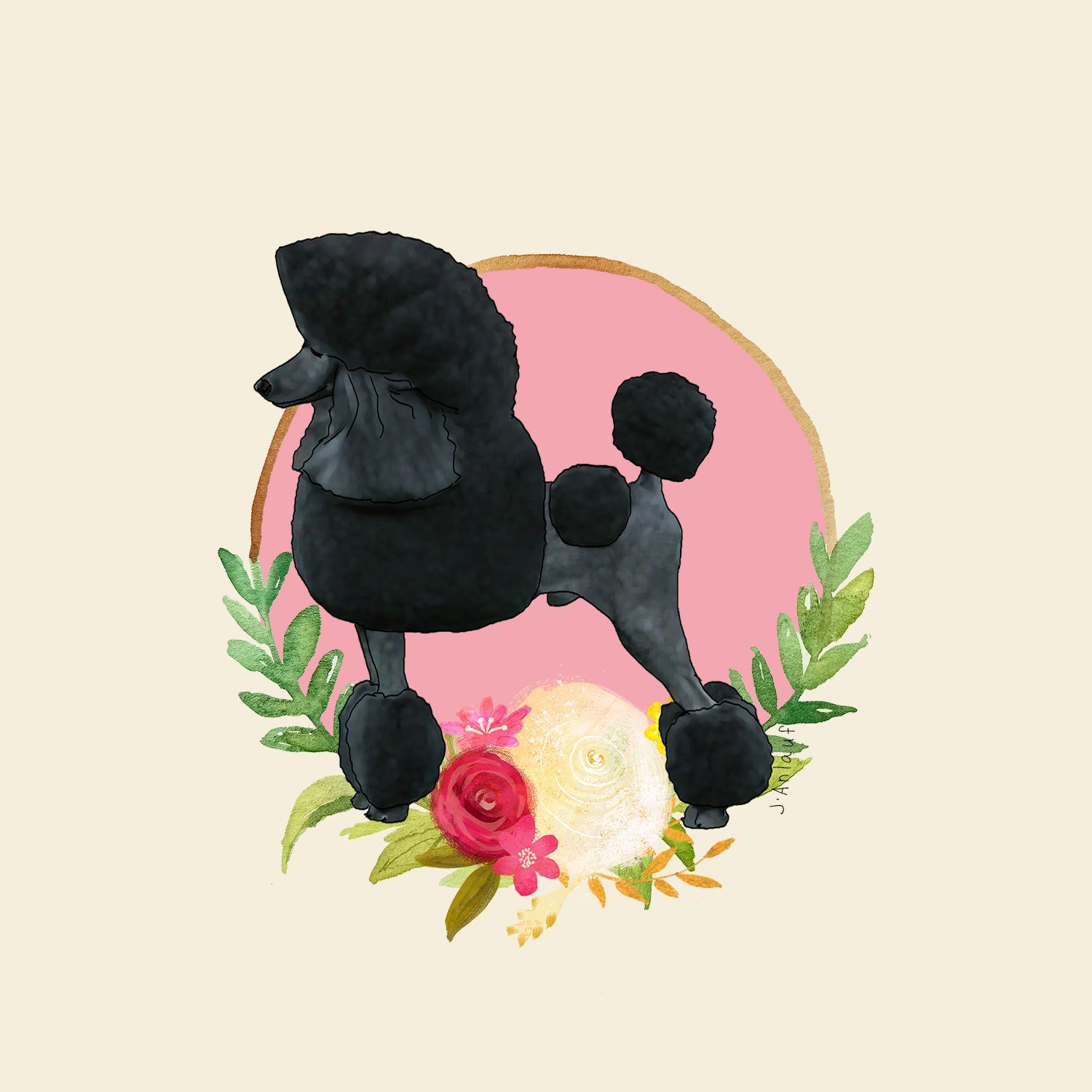 Poodle (Standard)