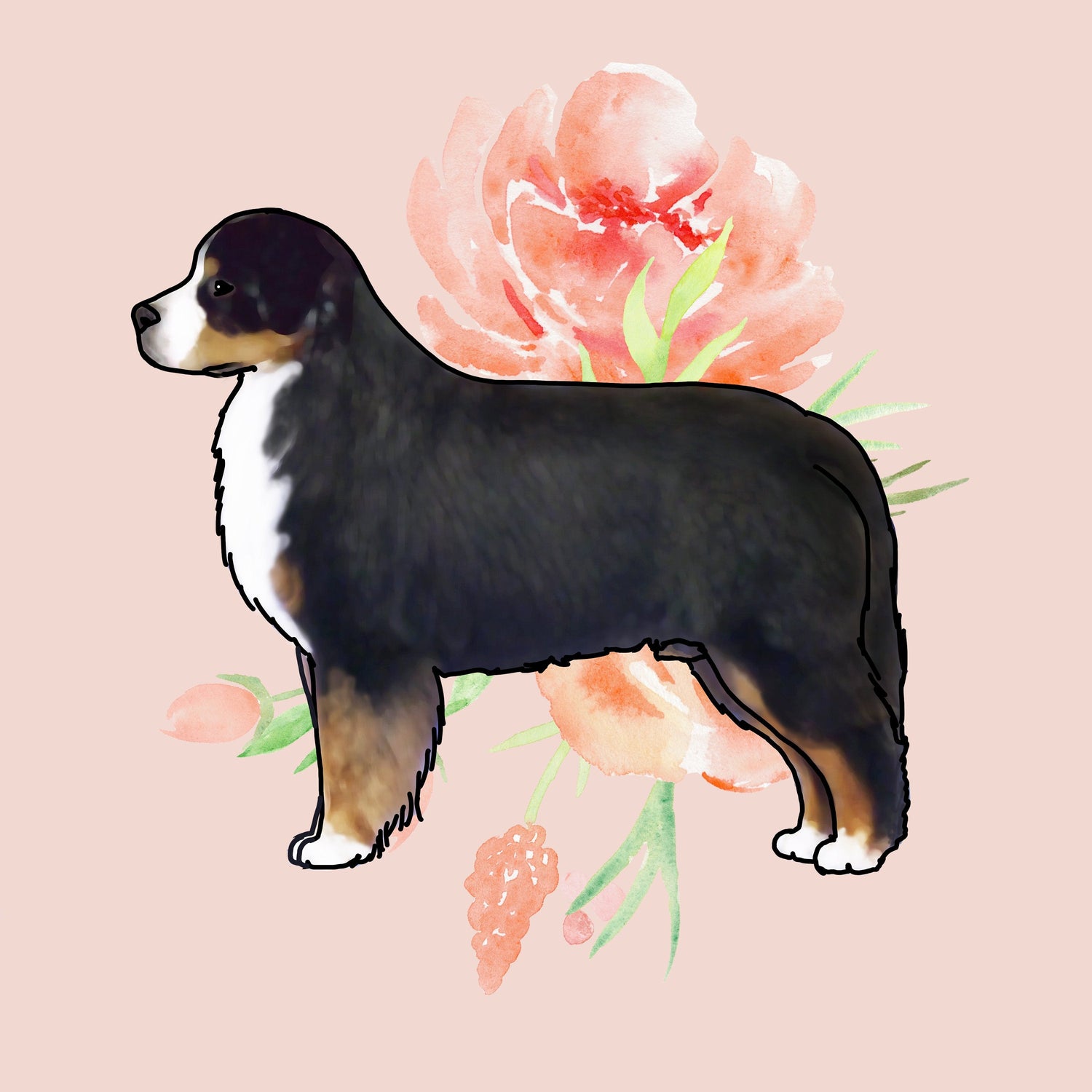 Bernese Mountain Dog