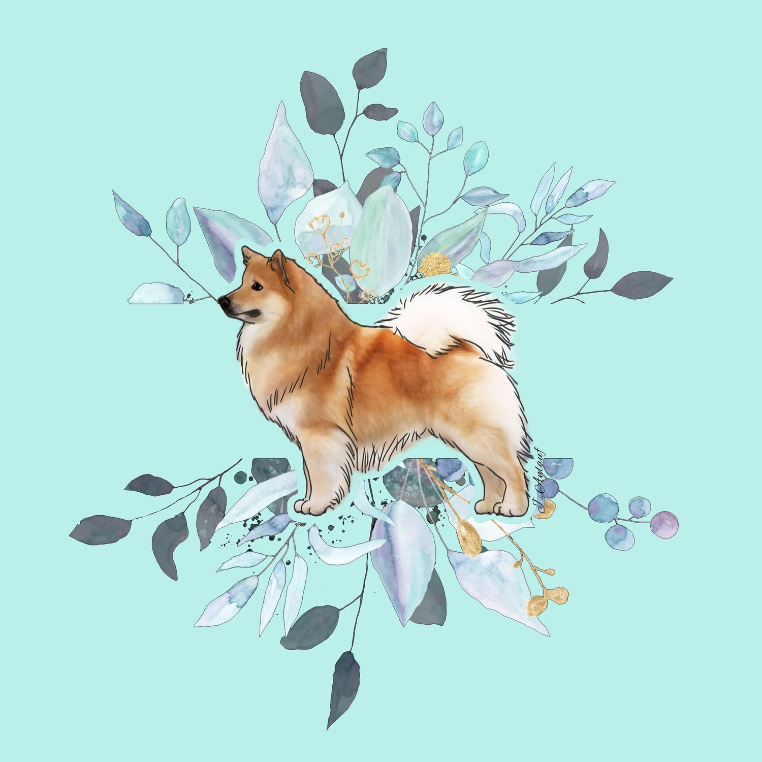 Icelandic Sheepdog