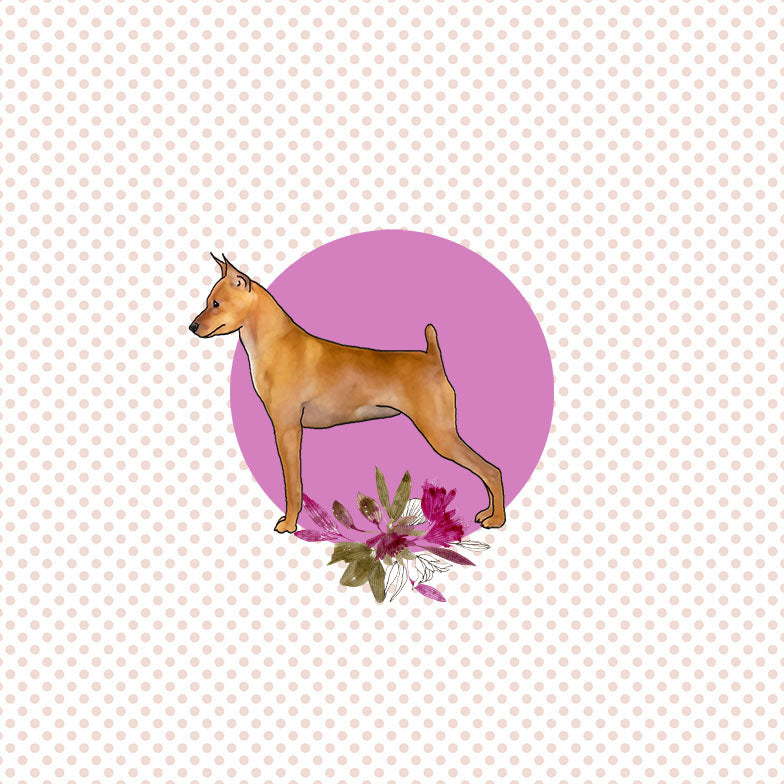 Miniature Pinscher