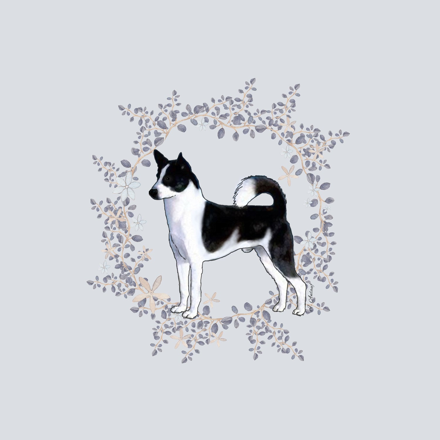 Canaan Dog