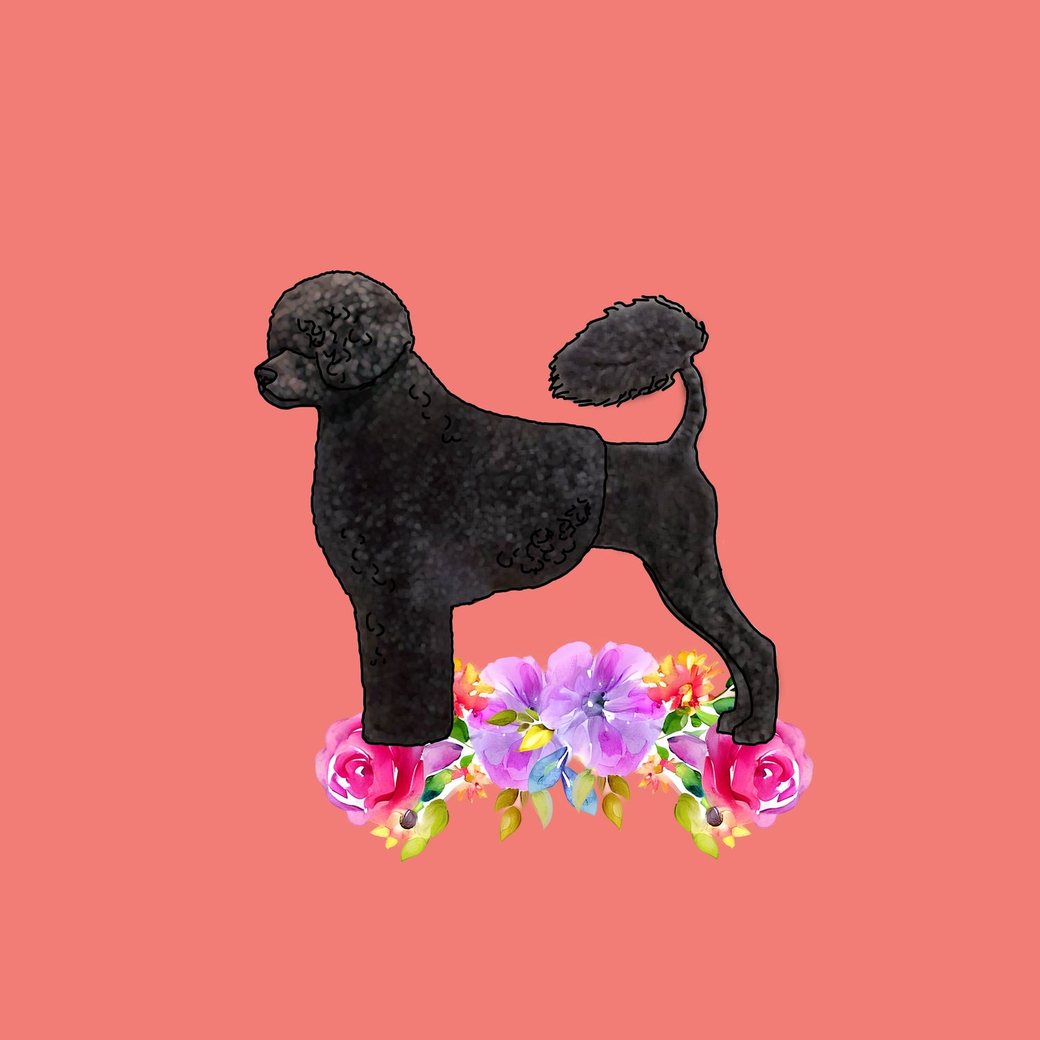 Portuguese Water Dog