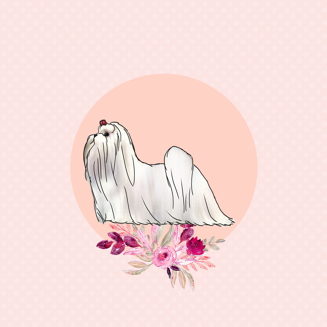 Maltese