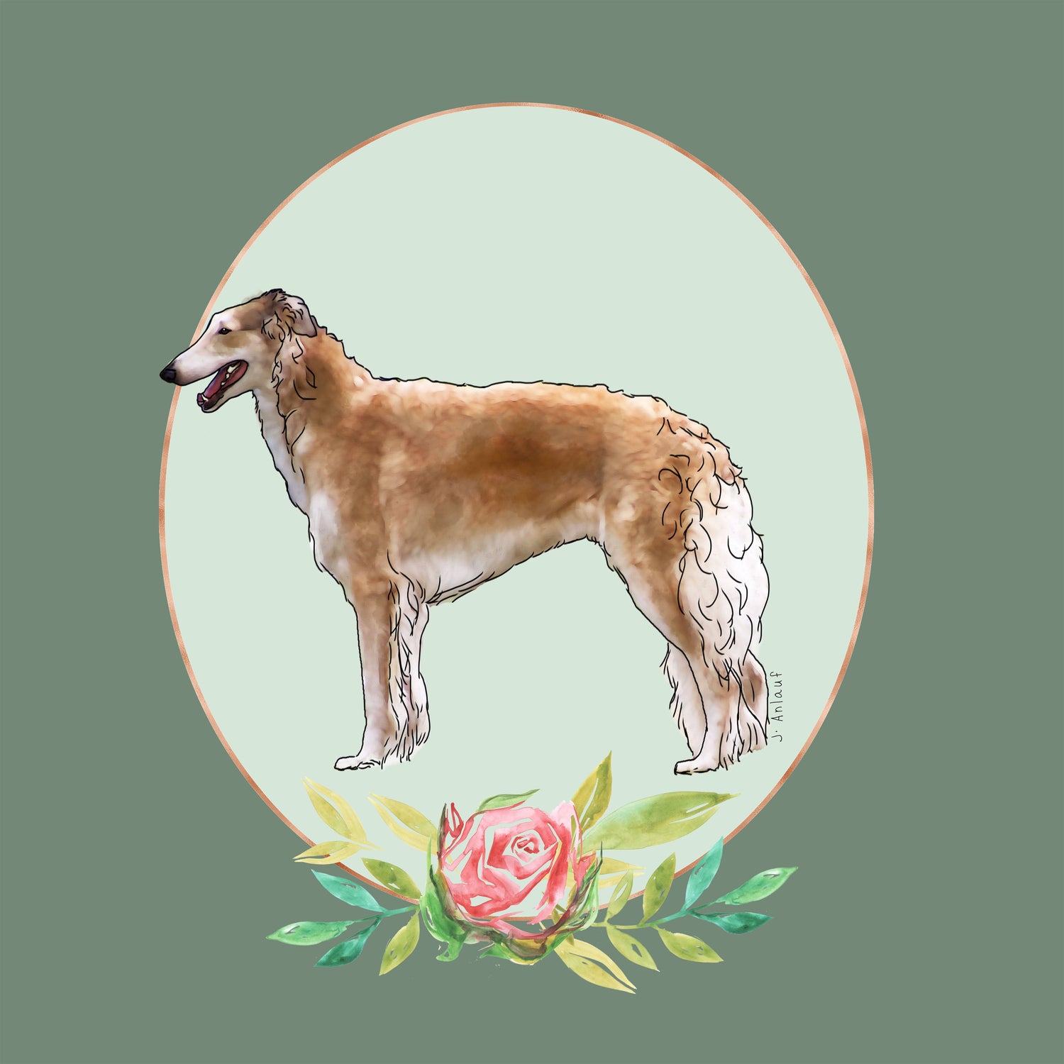 Borzoi
