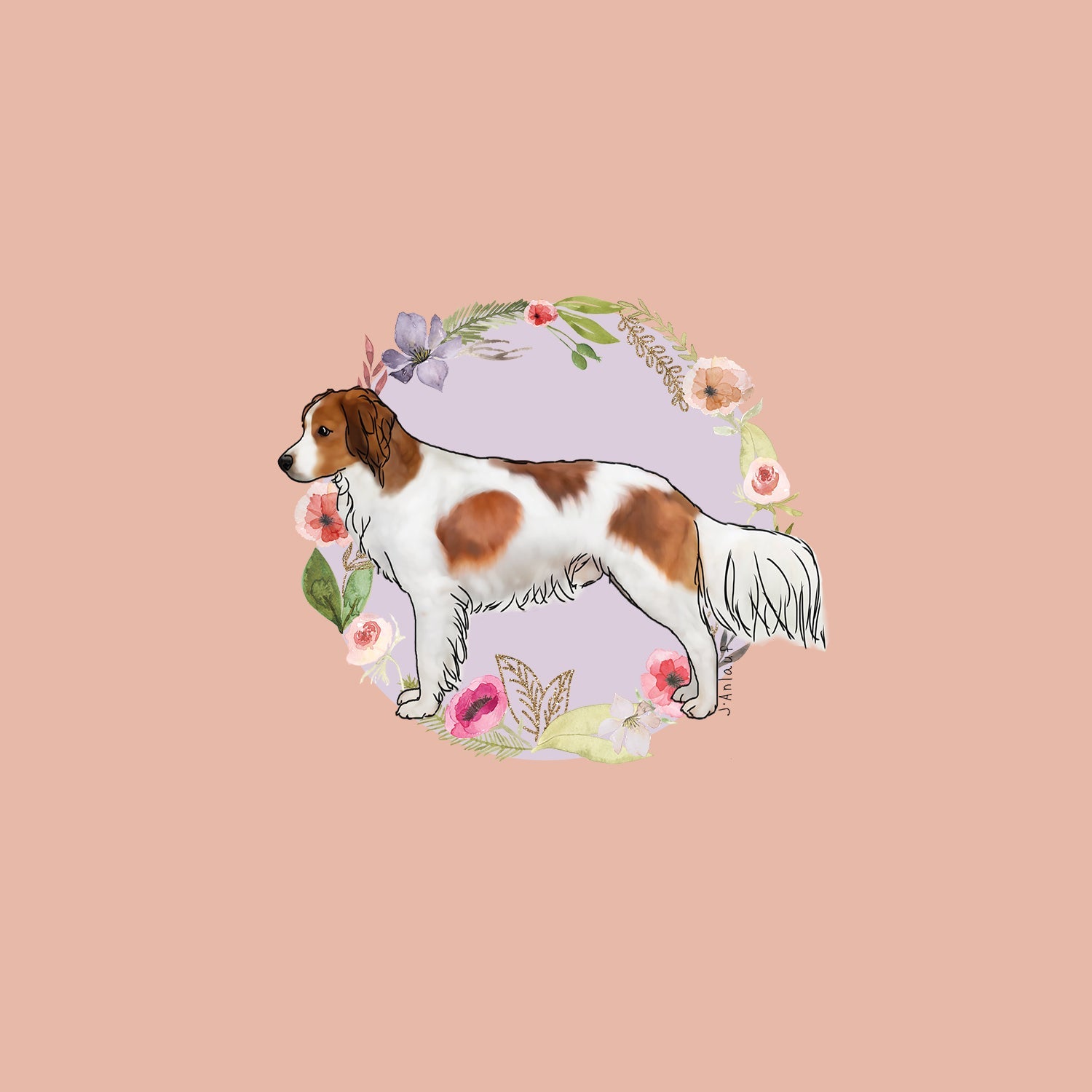 Nederlandse Kooikerhondje