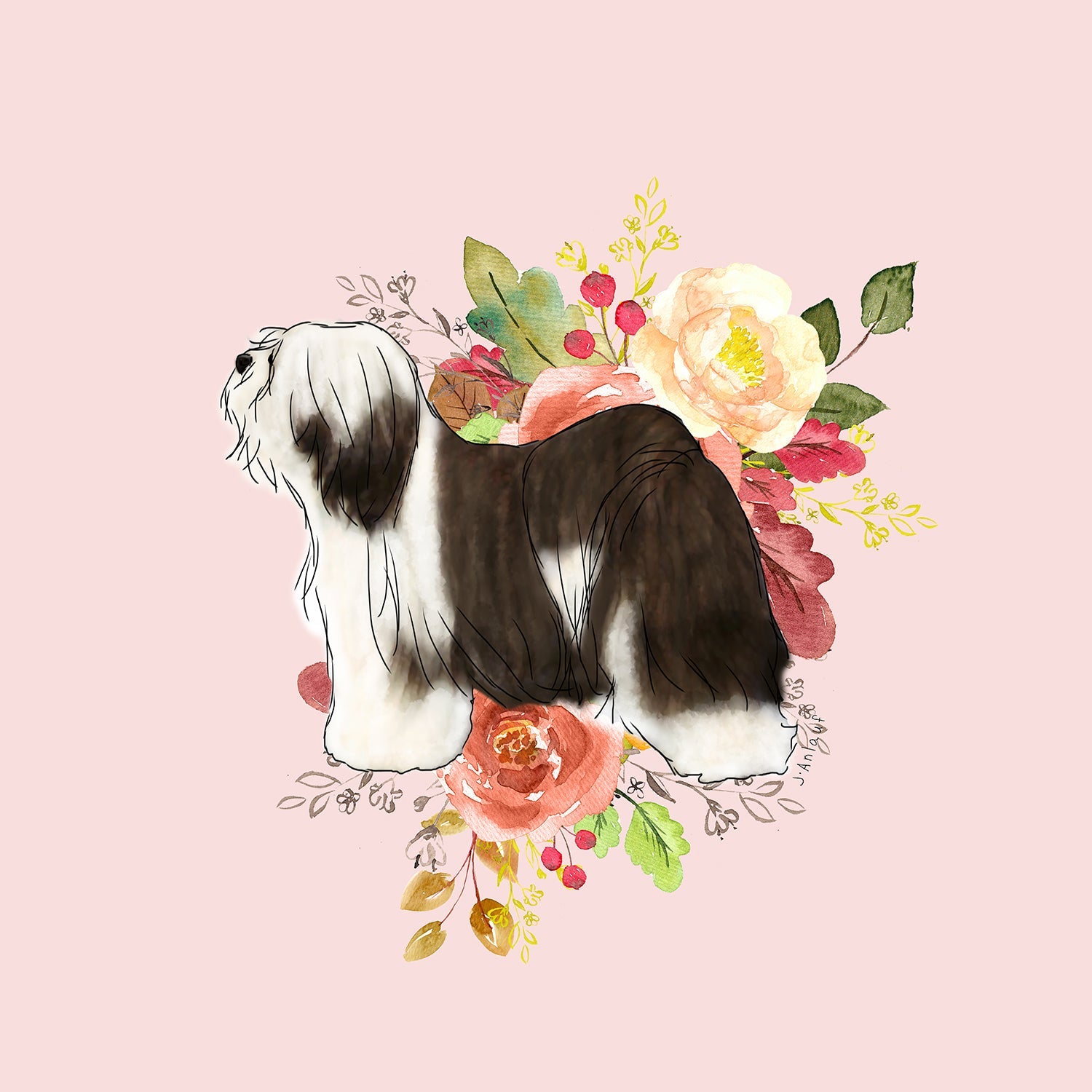 Tibetan Terrier