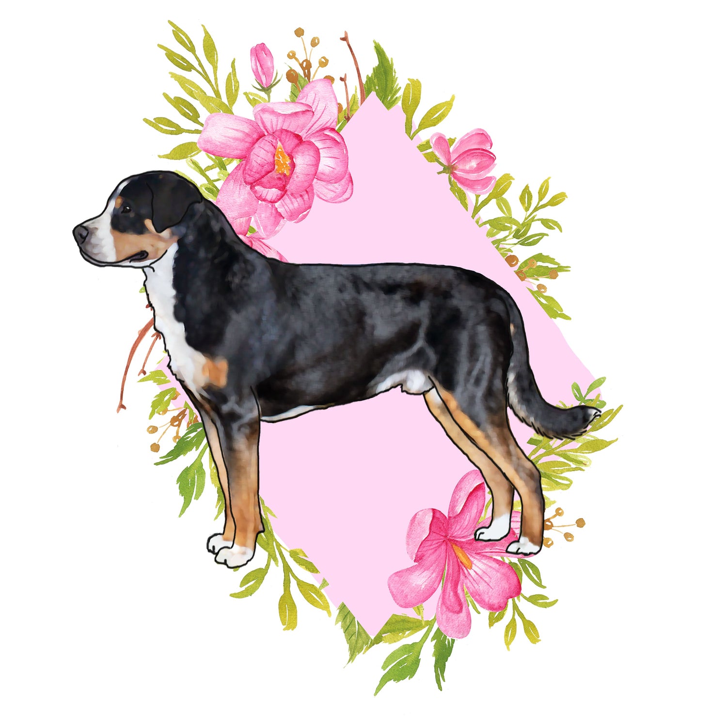 Greater Swiss Mountain Dog