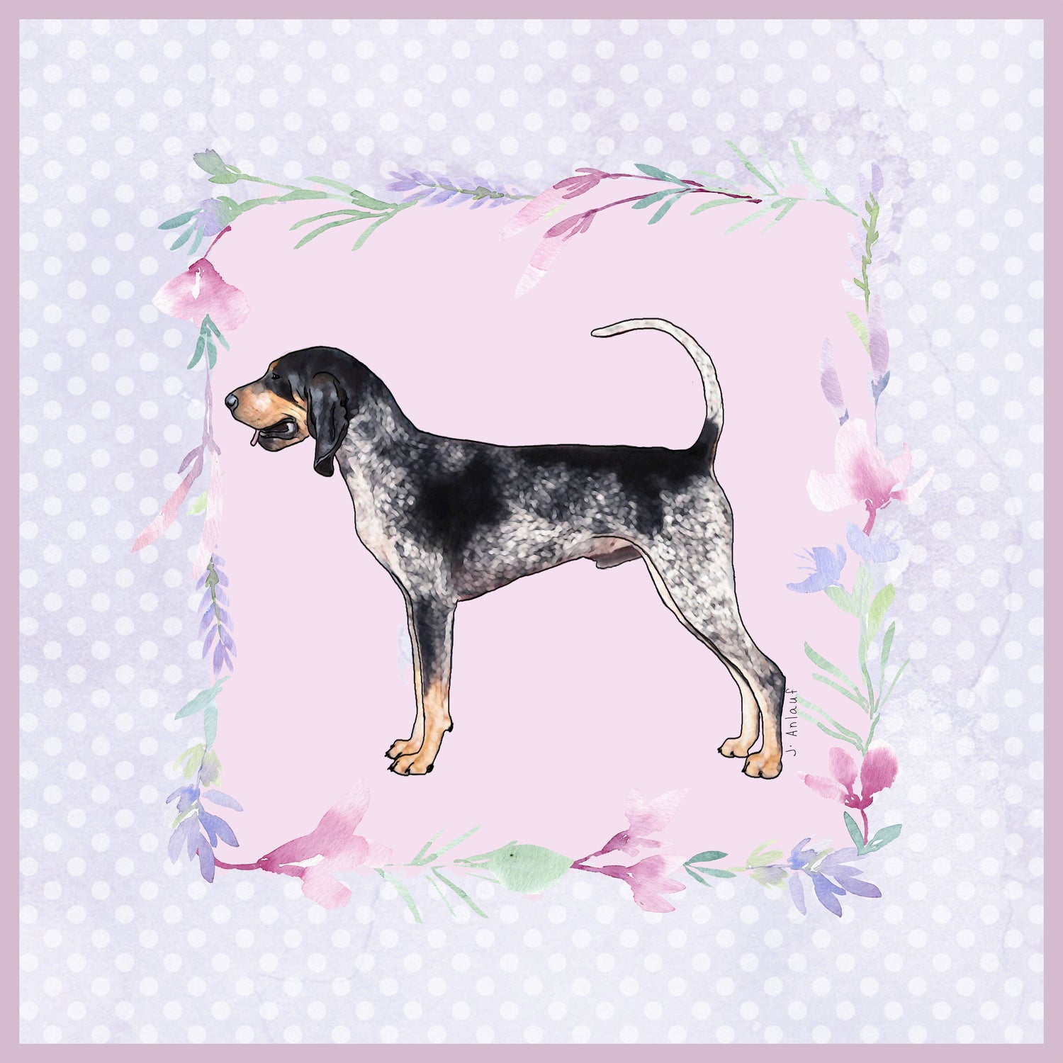 Bluetick Coonhound