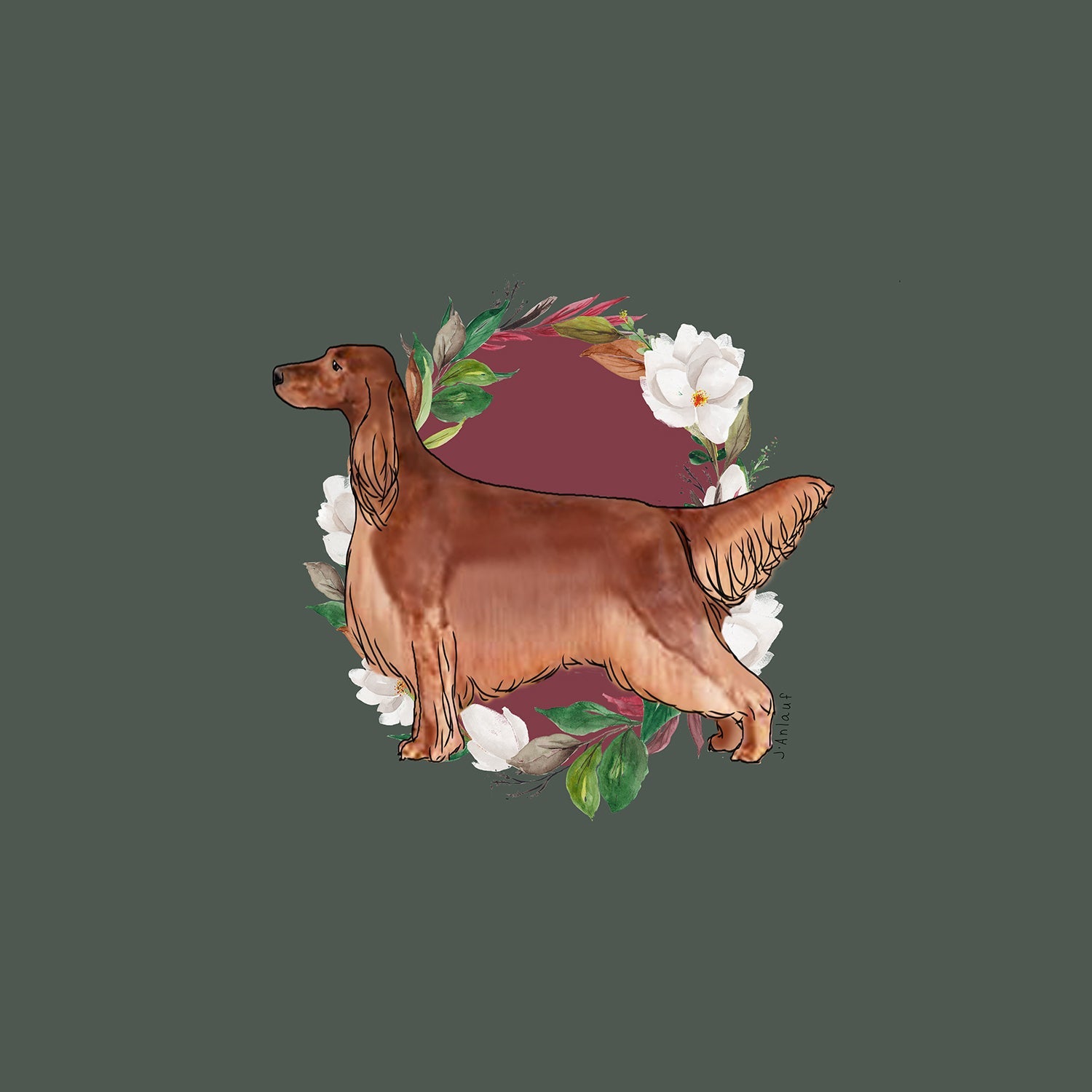 Irish Setter