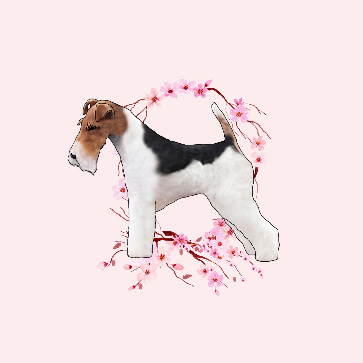 Wire Fox Terrier