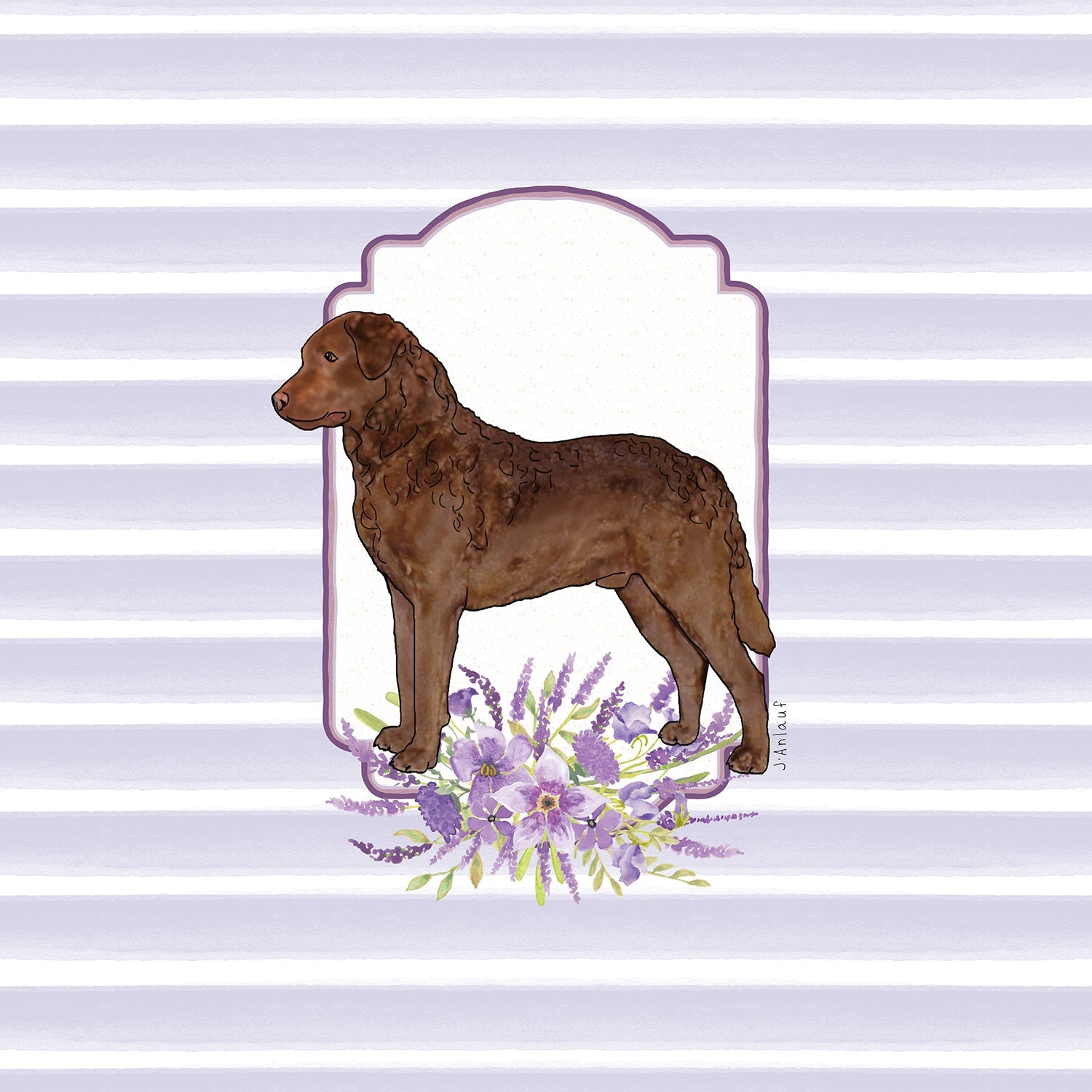Chesapeake Bay Retriever
