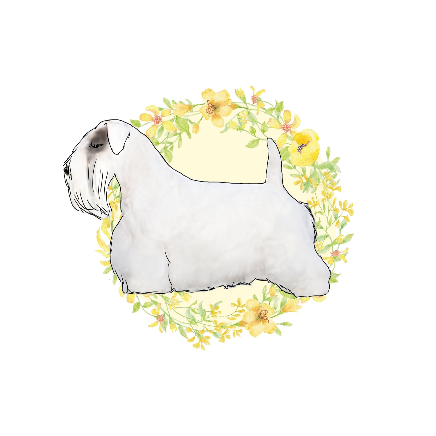 Sealyham Terrier