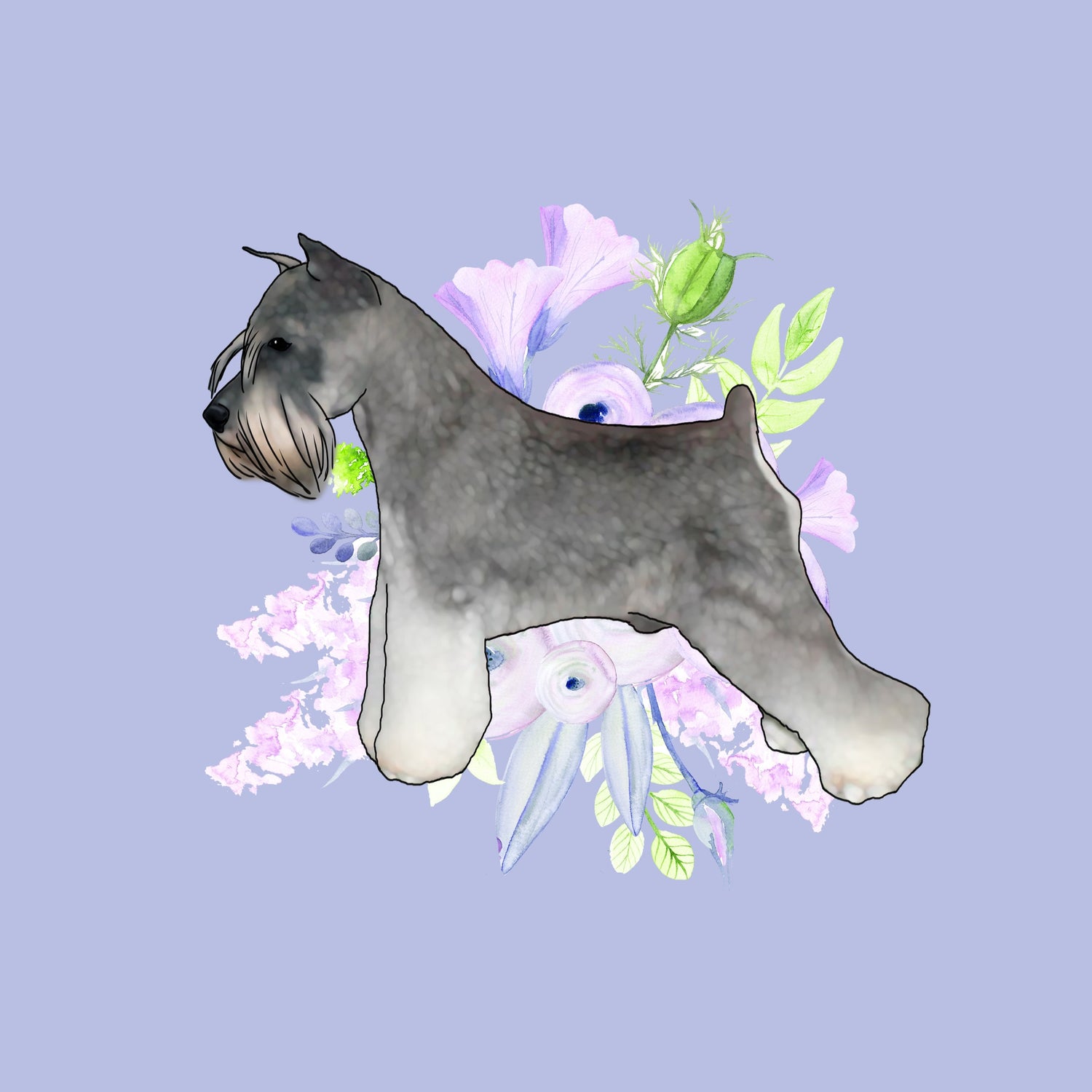 Miniature Schnauzer