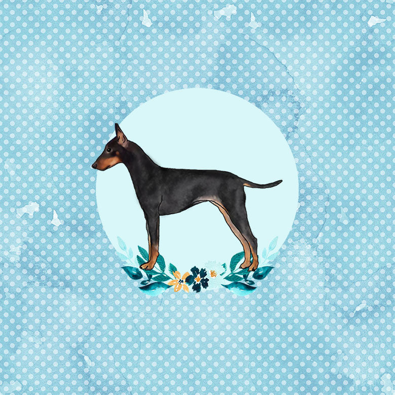 Manchester Terrier (Toy)