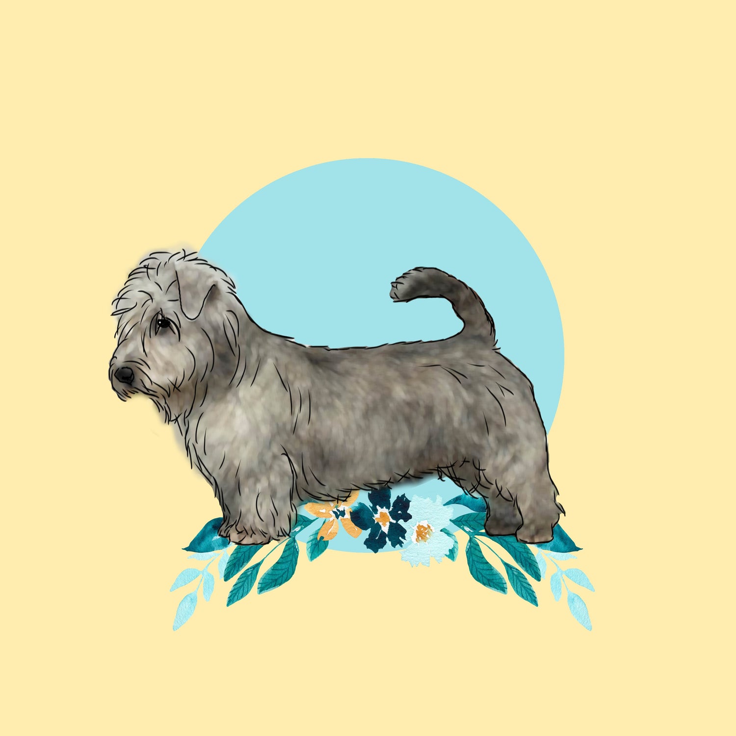 Glen of Imaal Terrier