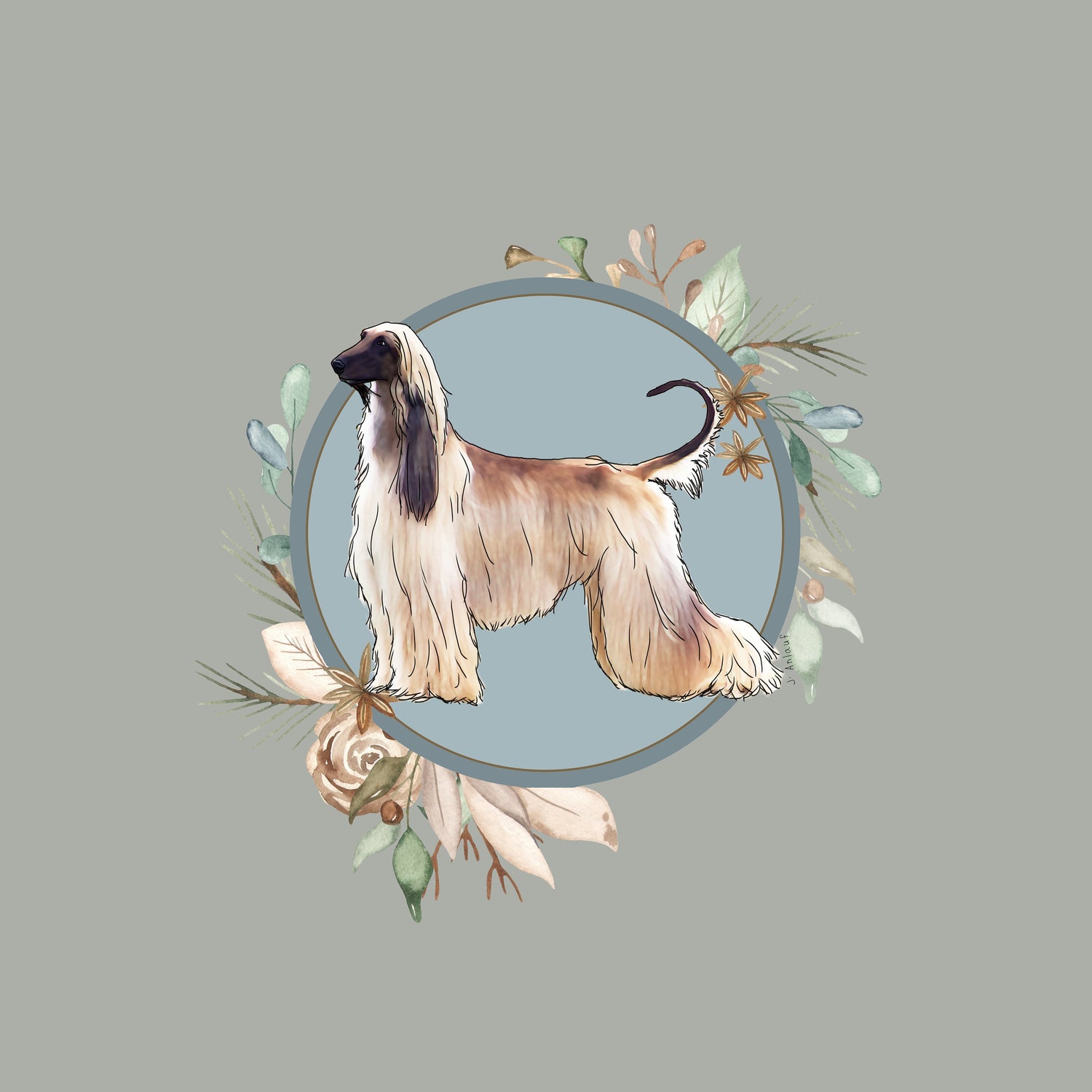 Afghan Hound