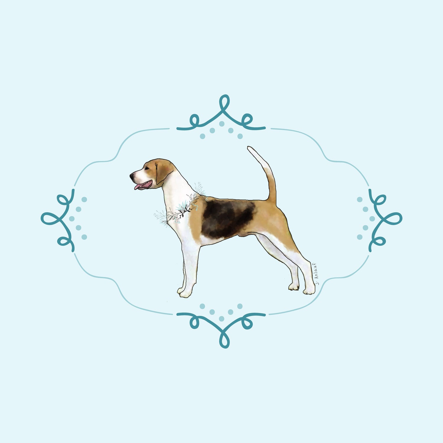 American Foxhound