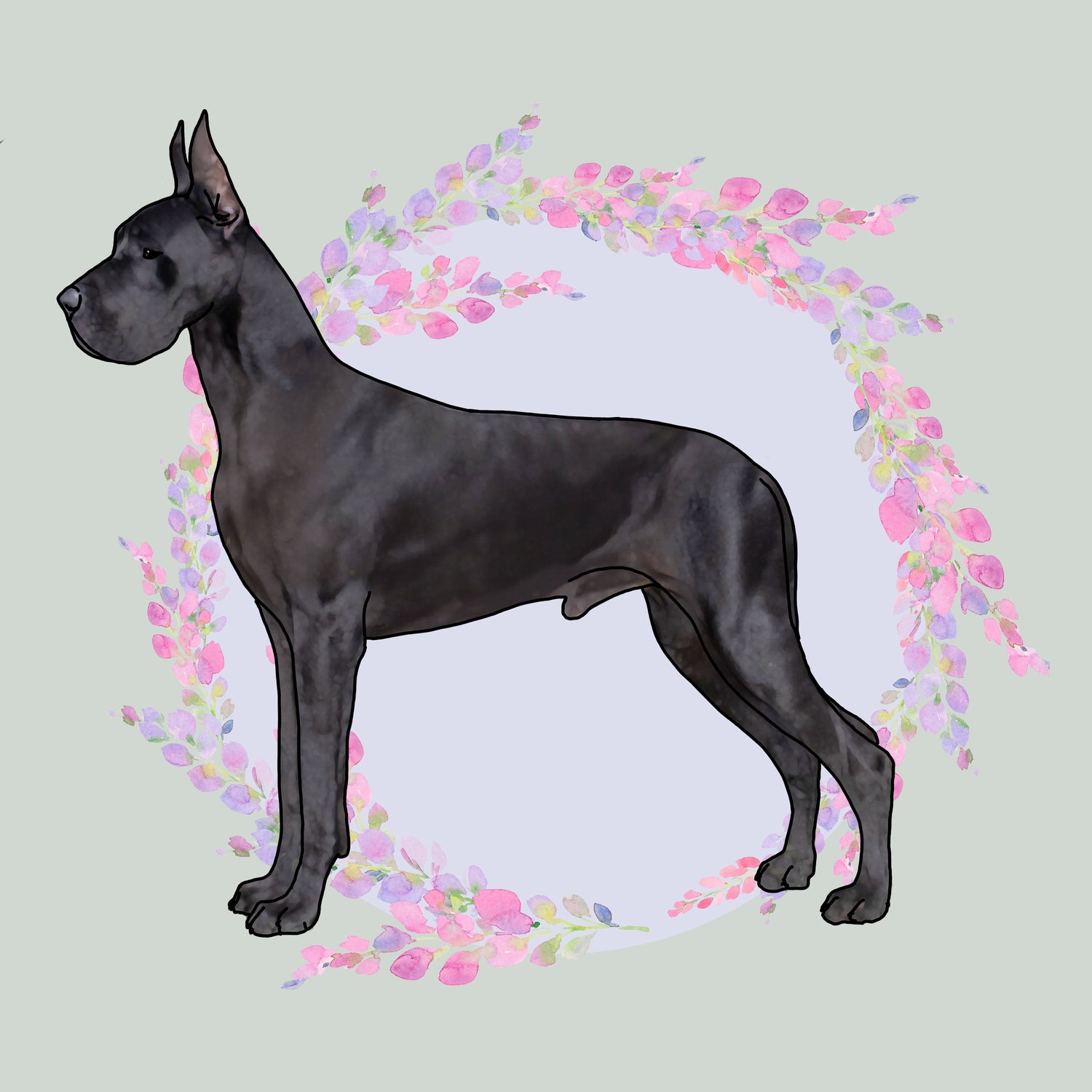 Great Dane