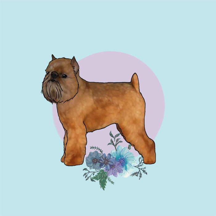 Brussels Griffon