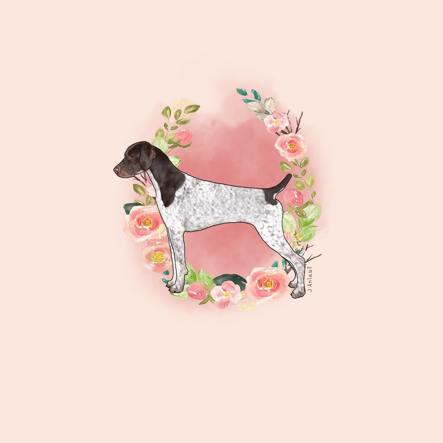 German Shorthaired Pointer