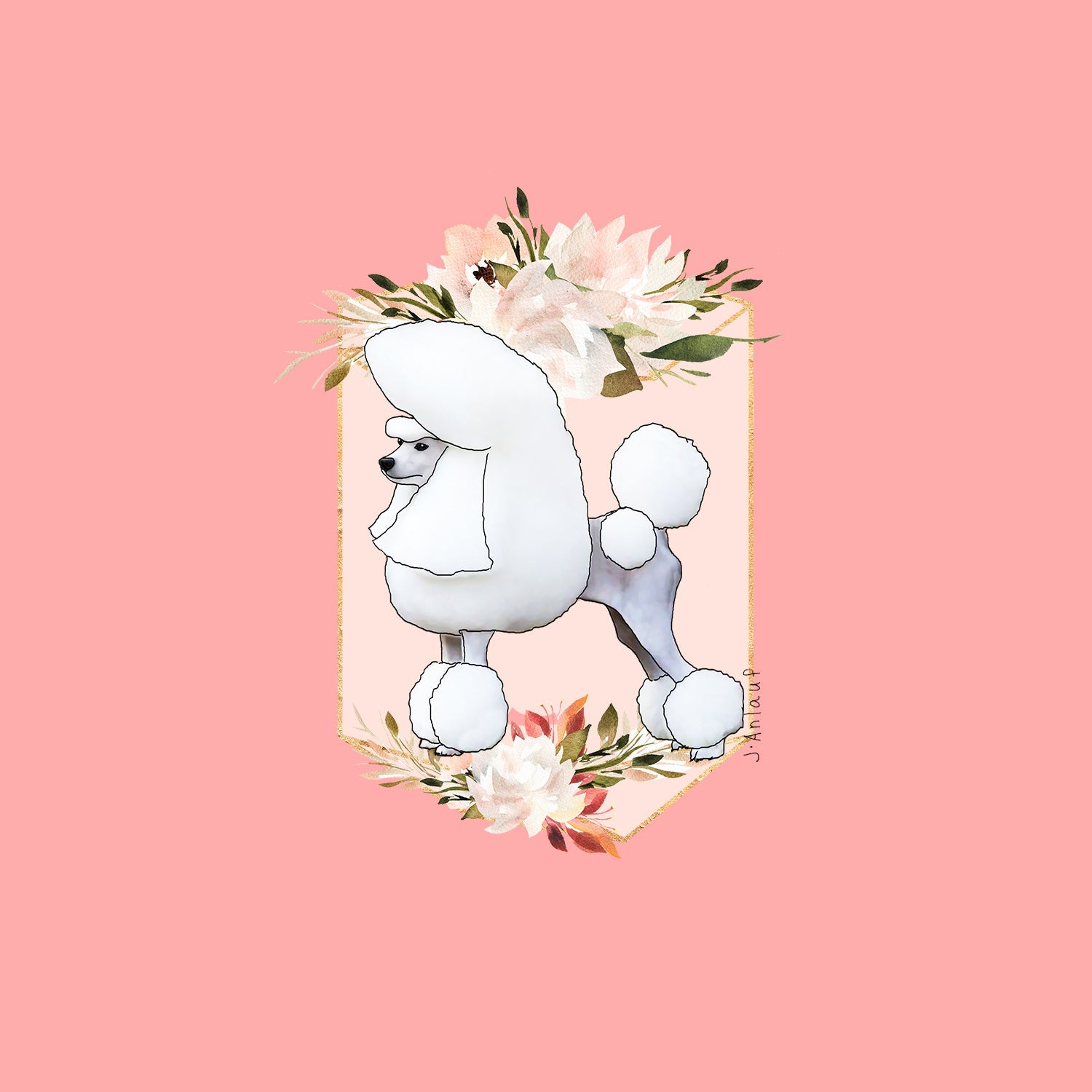 Poodle (Miniature)